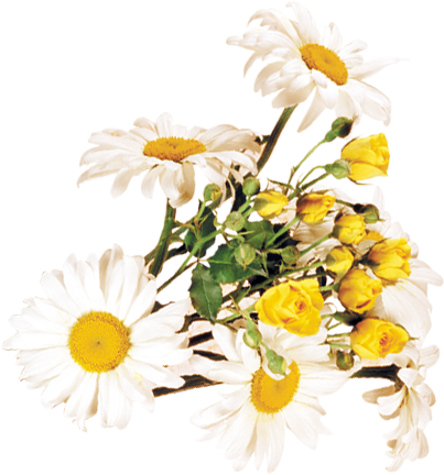 Wedding PNG Graphics Element (477)