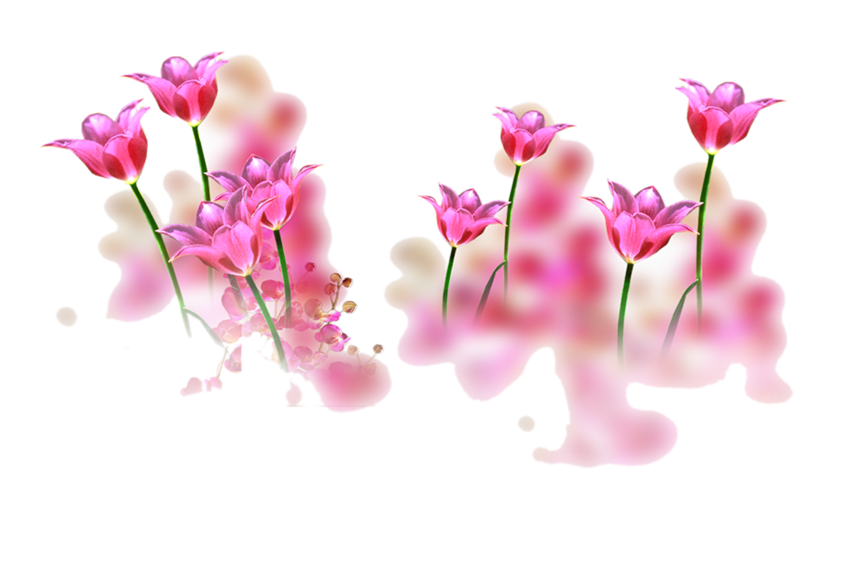 Wedding PNG Graphics Element (481)