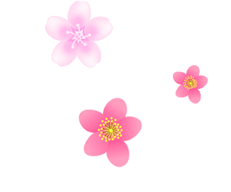 Wedding PNG Graphics Element (486)