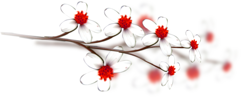 Wedding PNG Graphics Element (497)