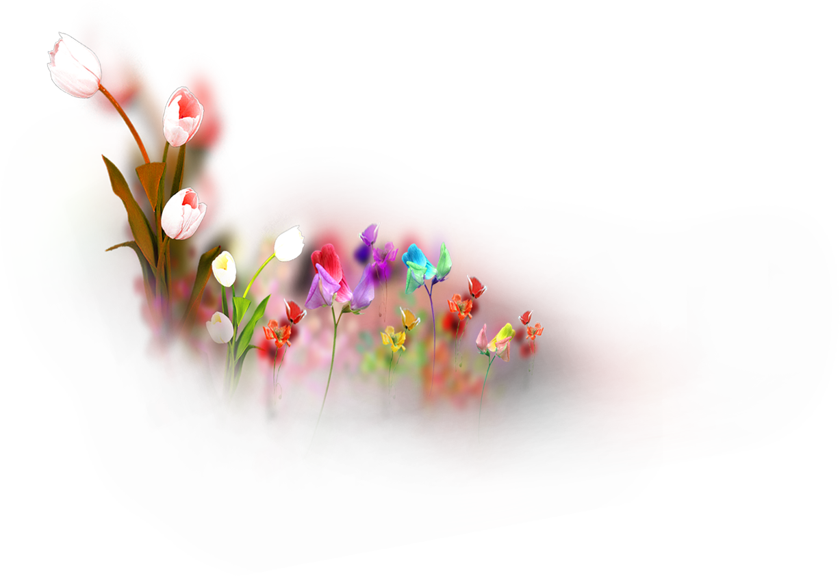 Wedding PNG Graphics Element (499)