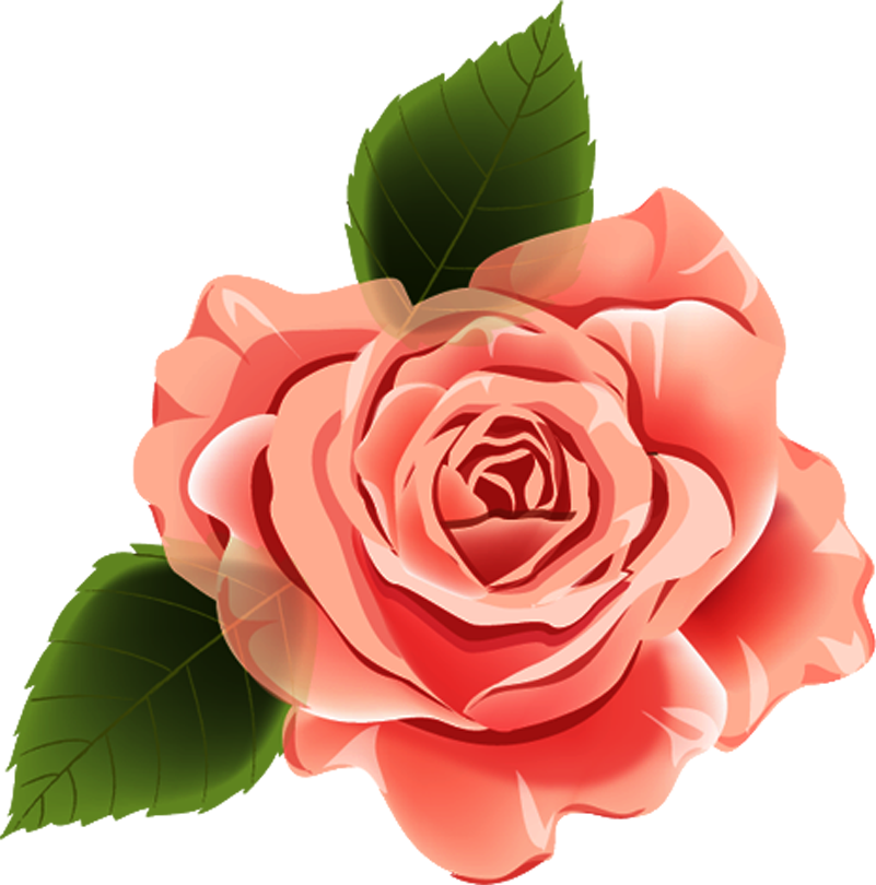 Wedding PNG Graphics Element (514)