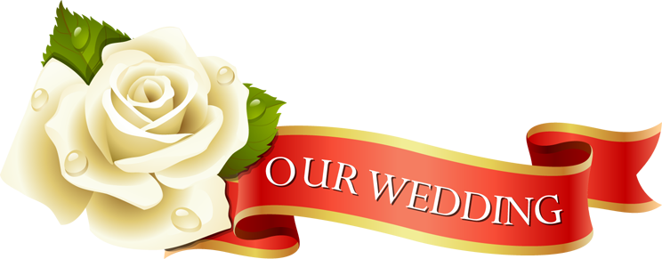 Wedding PNG Graphics Element (530)