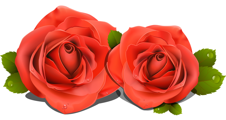 Wedding PNG Graphics Element (544)
