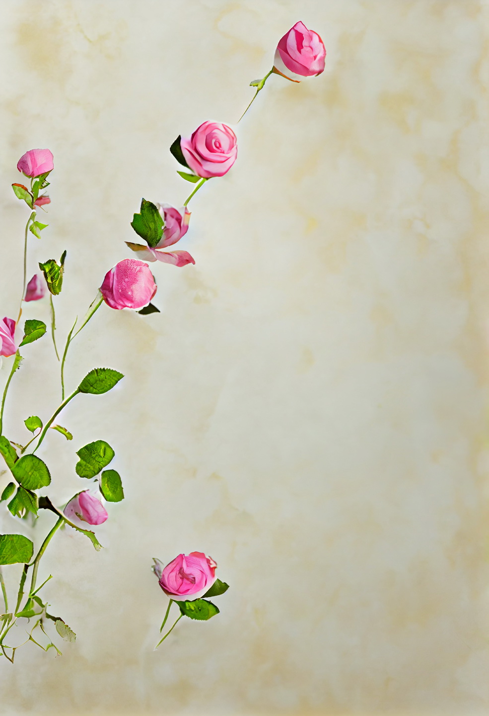 Floral Frame Graphics Elemet (76)