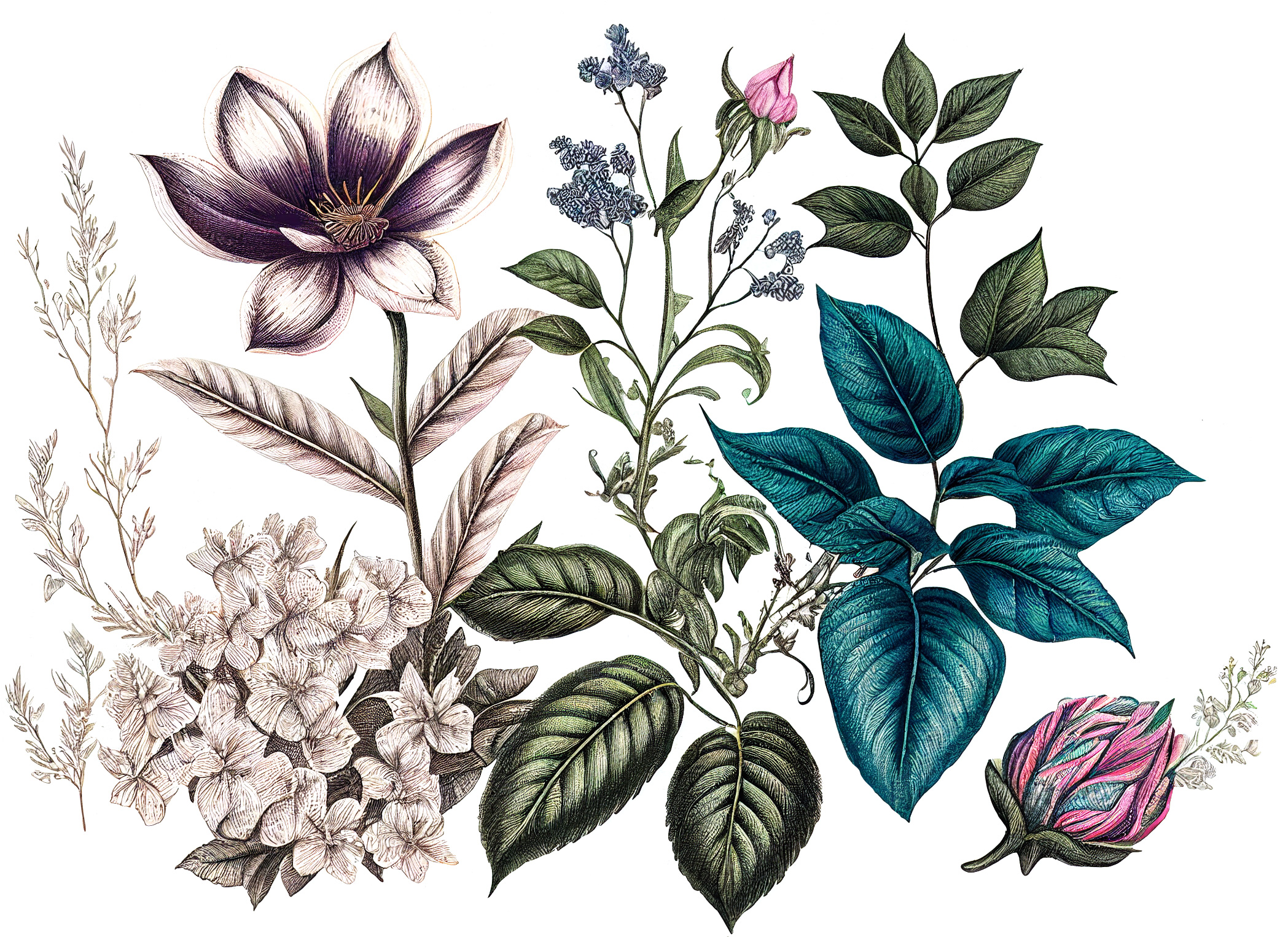 Flower Graphic Image (43)