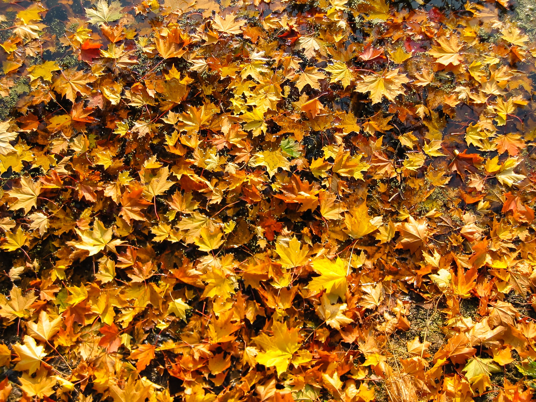 Graphics Background Example (28)