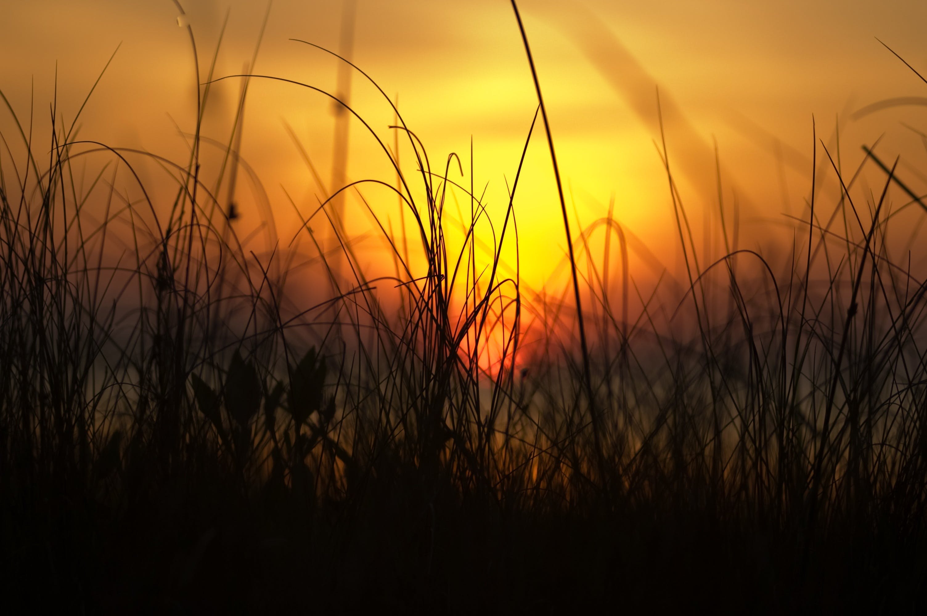 Graphics Background Example (46)