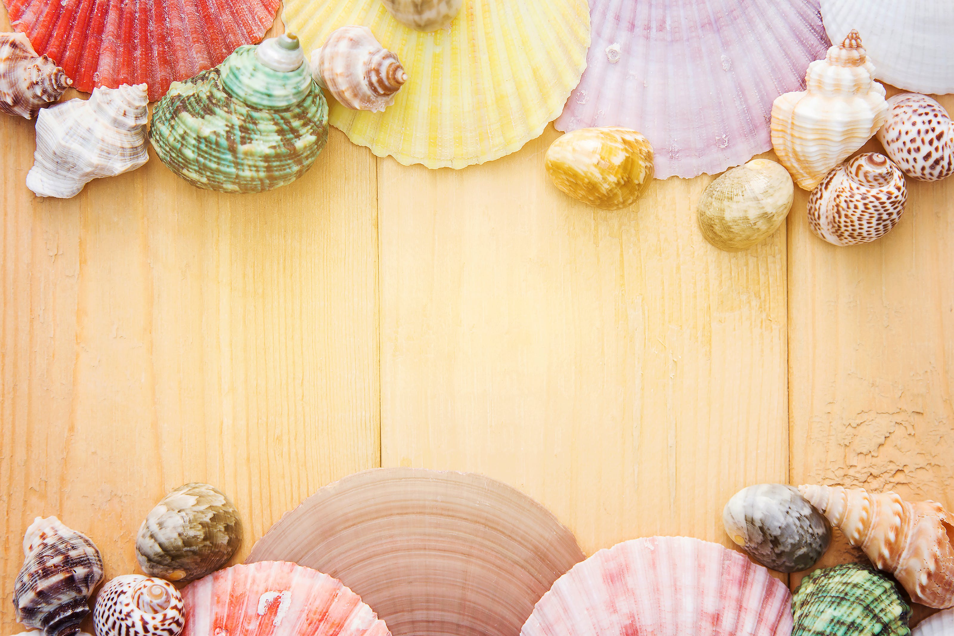 Graphics Background Example (82)
