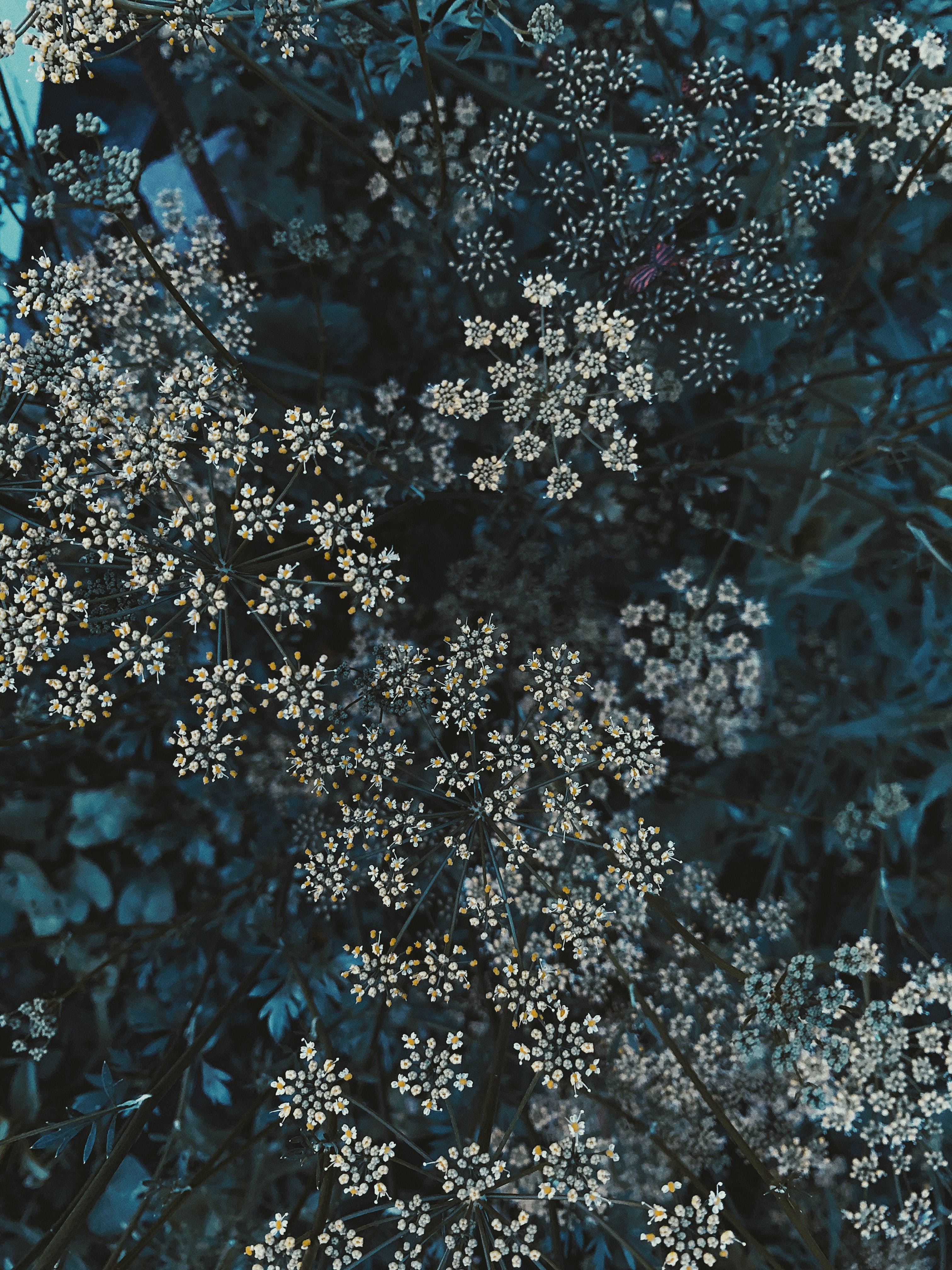 Graphics Background Example (87)