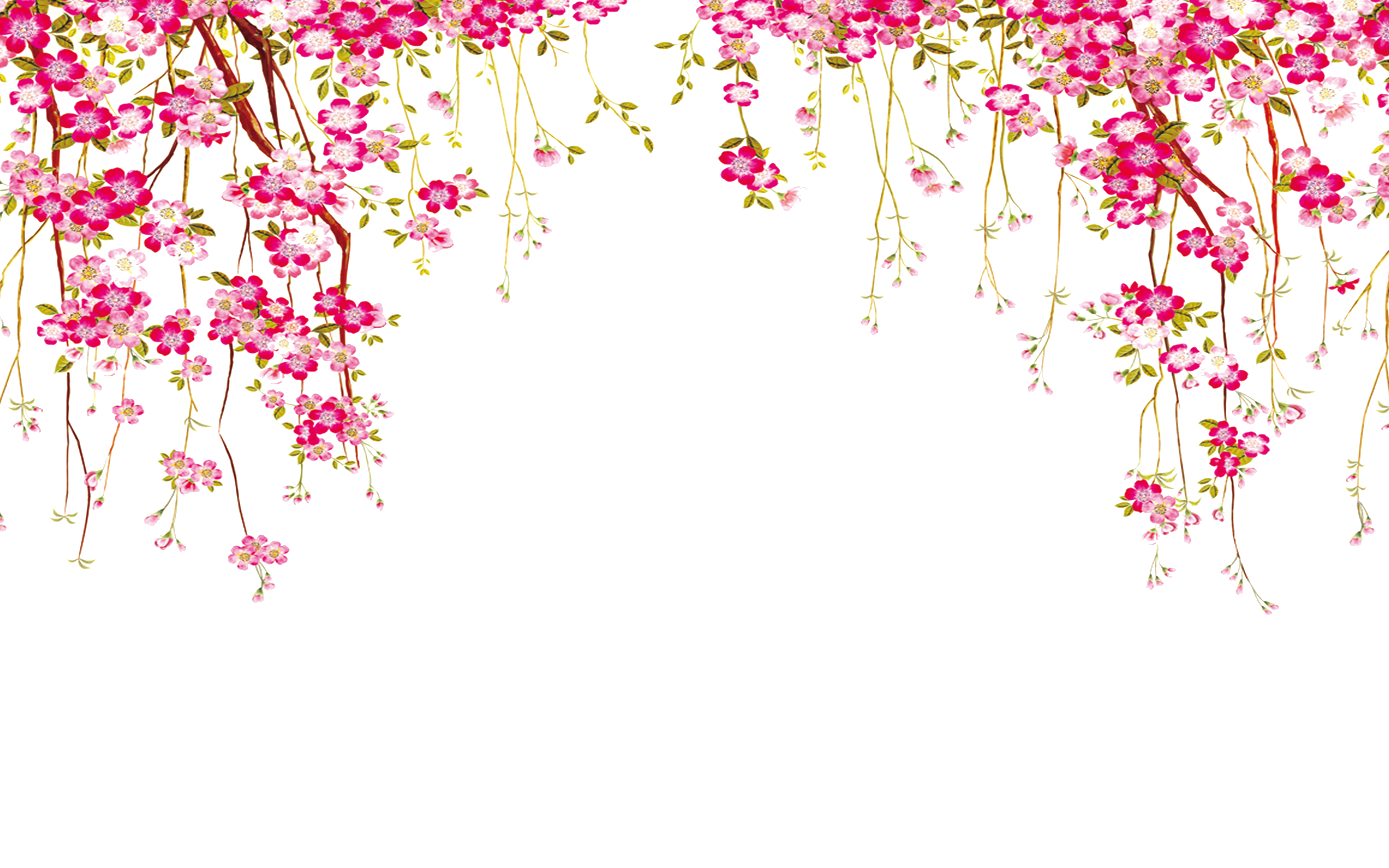 Album Floral Graphic Element (3)