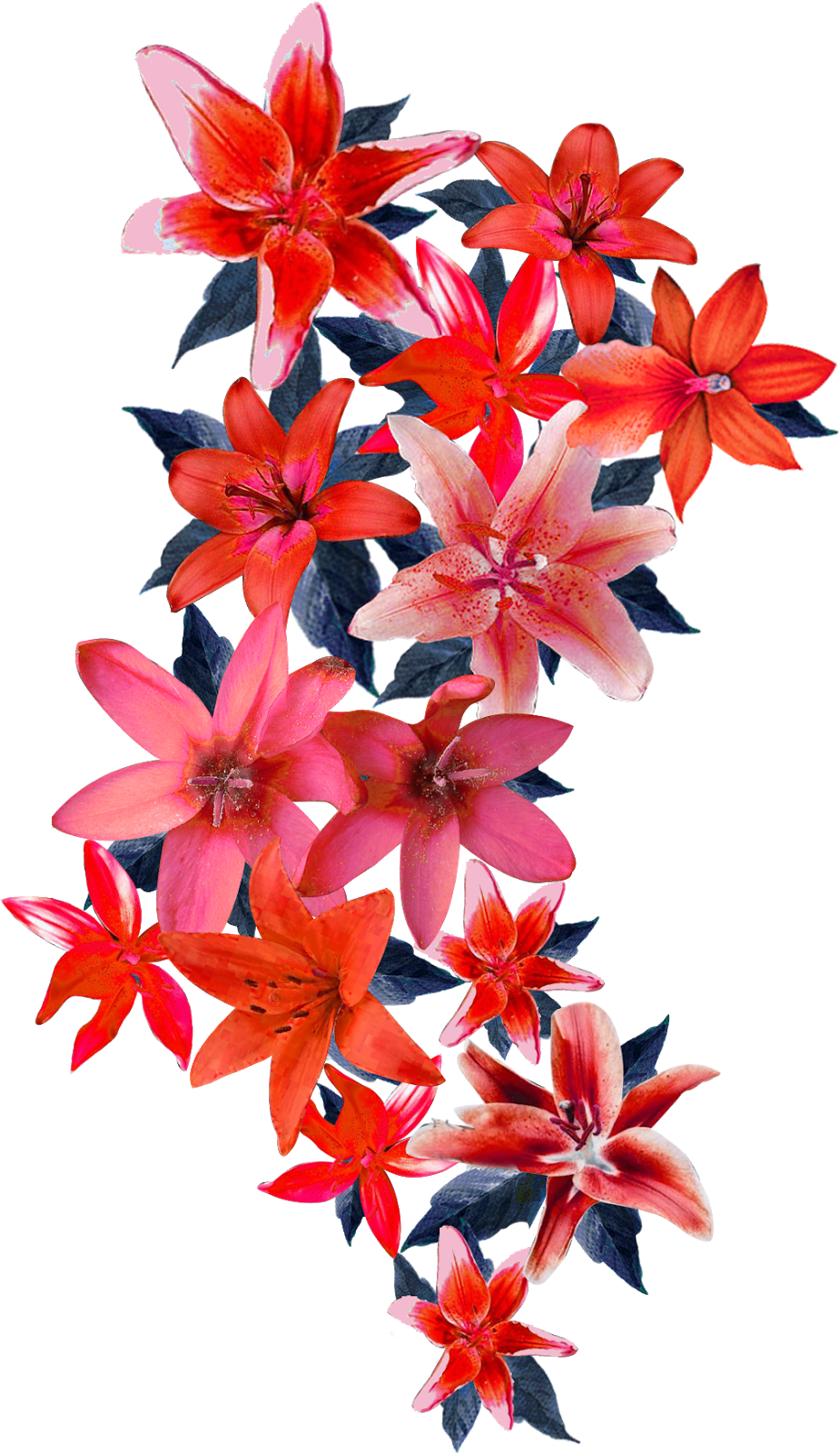 Album Floral Graphic Element (9)