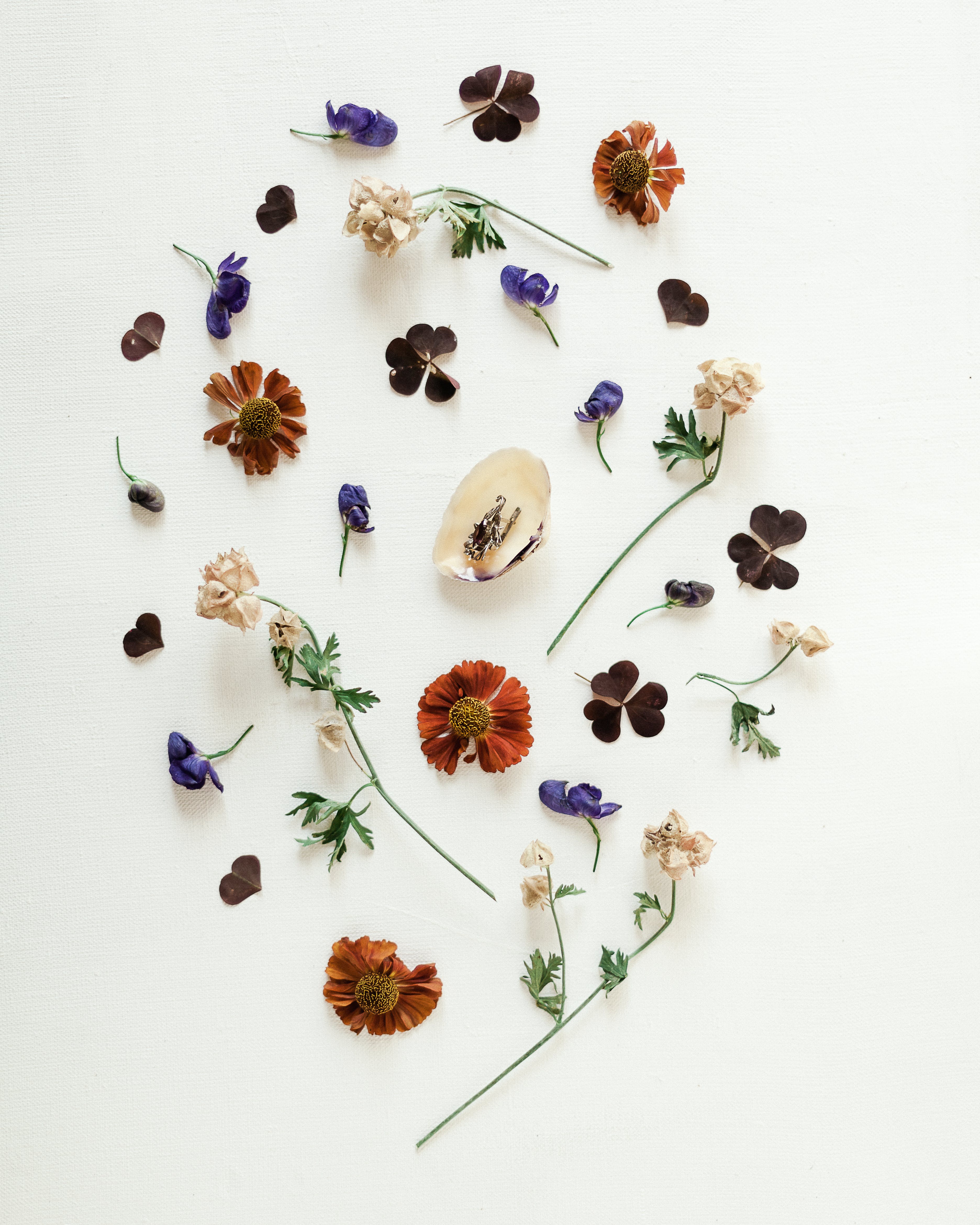 Album Floral Graphic Element (14)