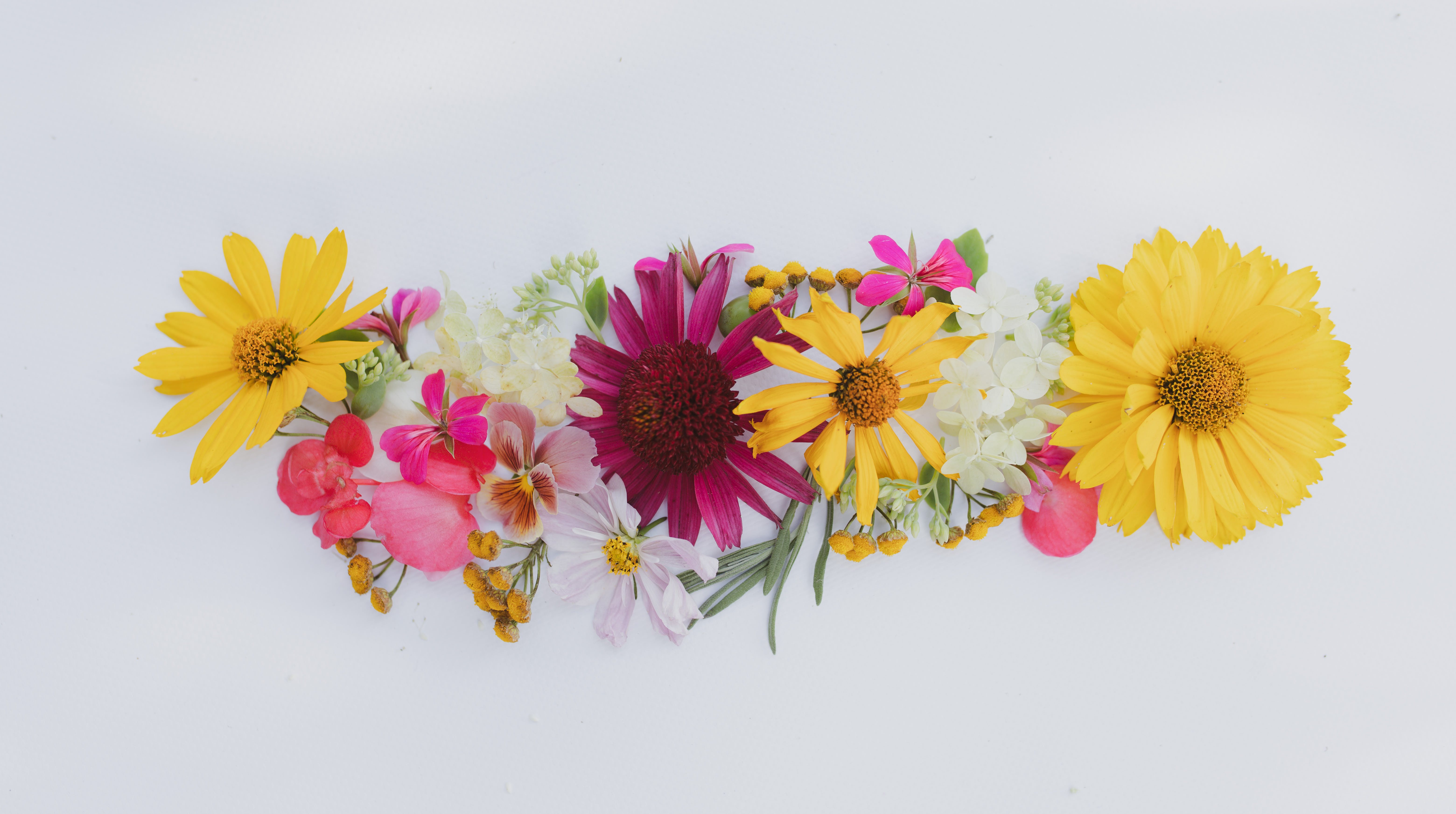 Album Floral Graphic Element (15)