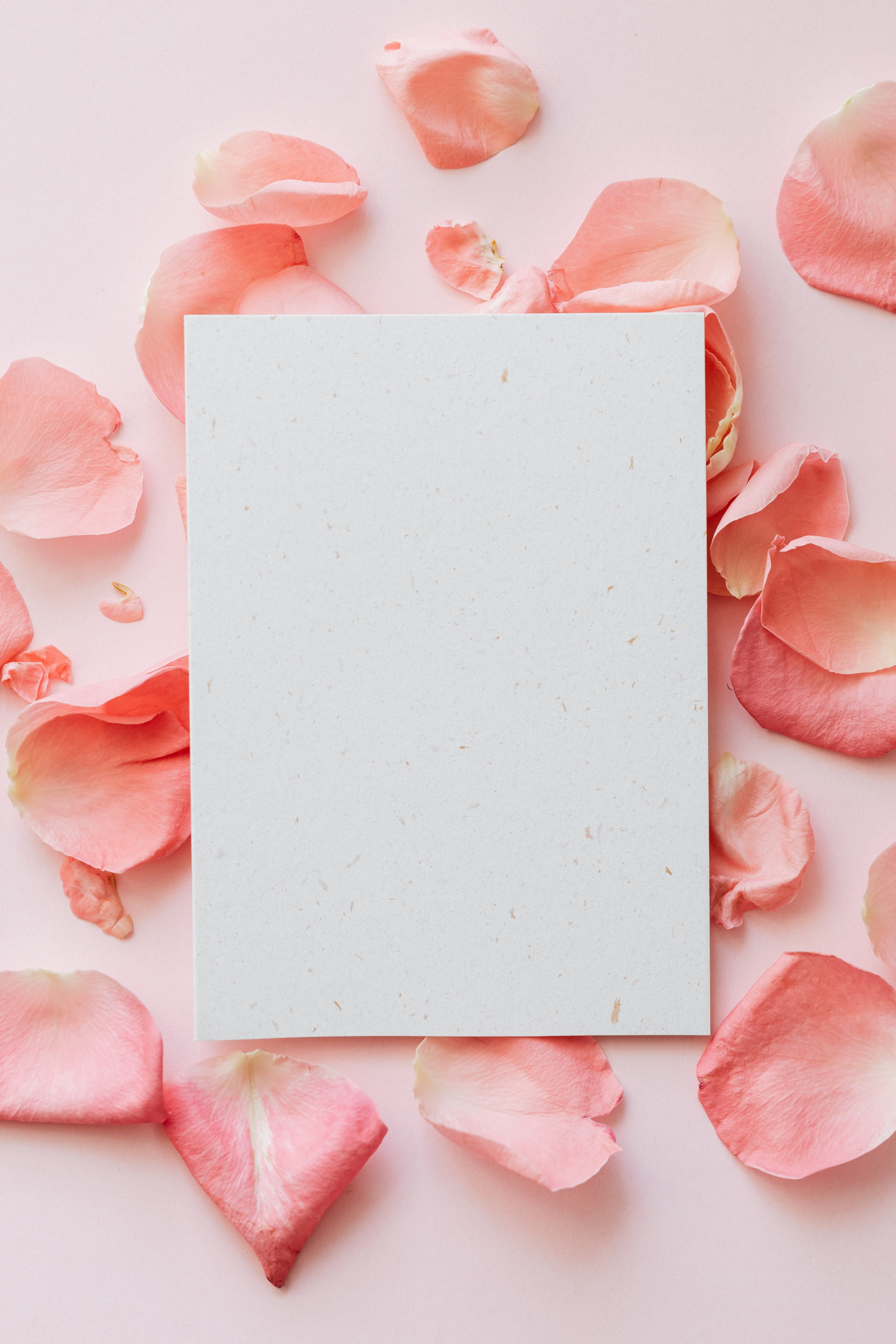 Album Floral Graphic Element (18)