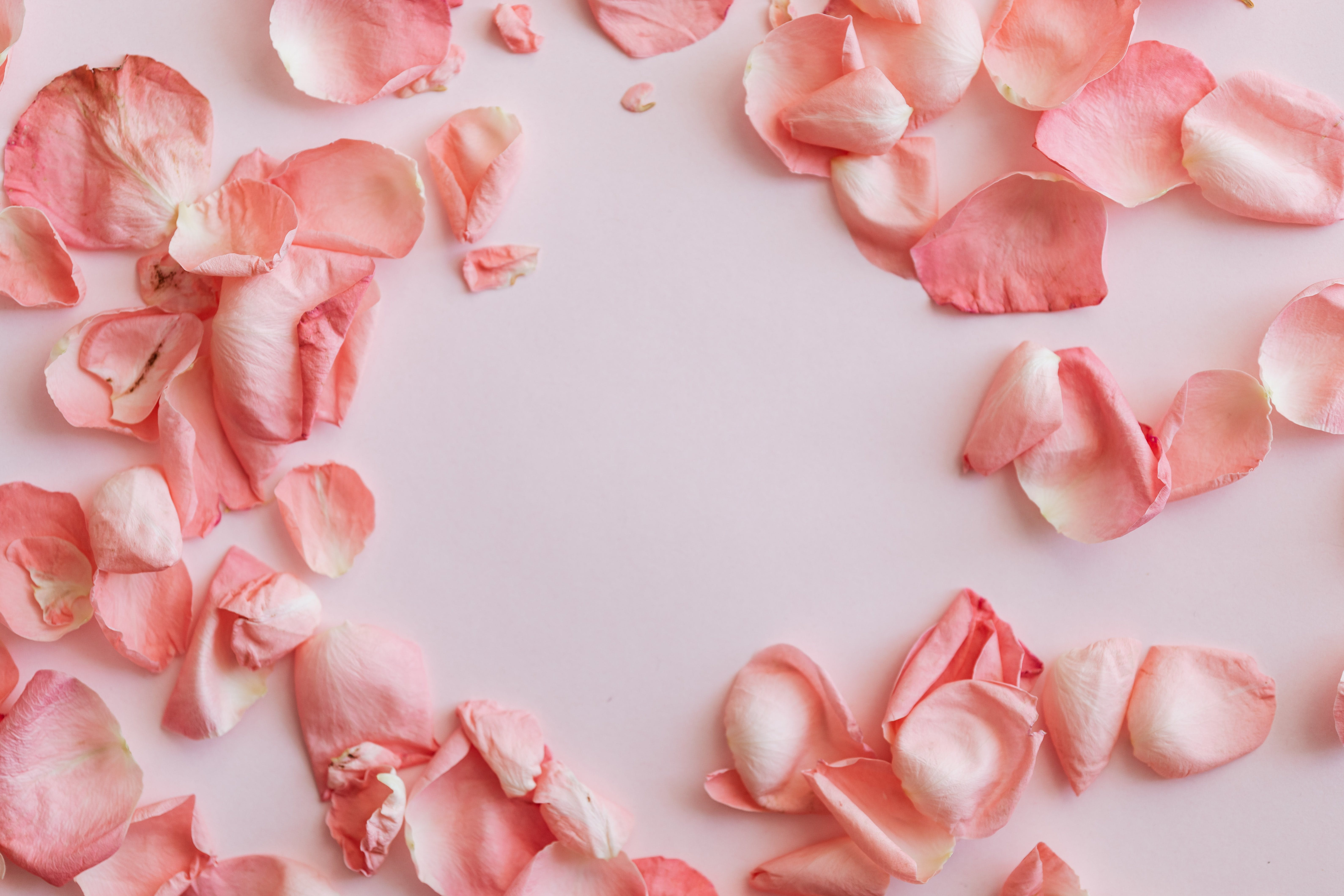Album Floral Graphic Element (19)