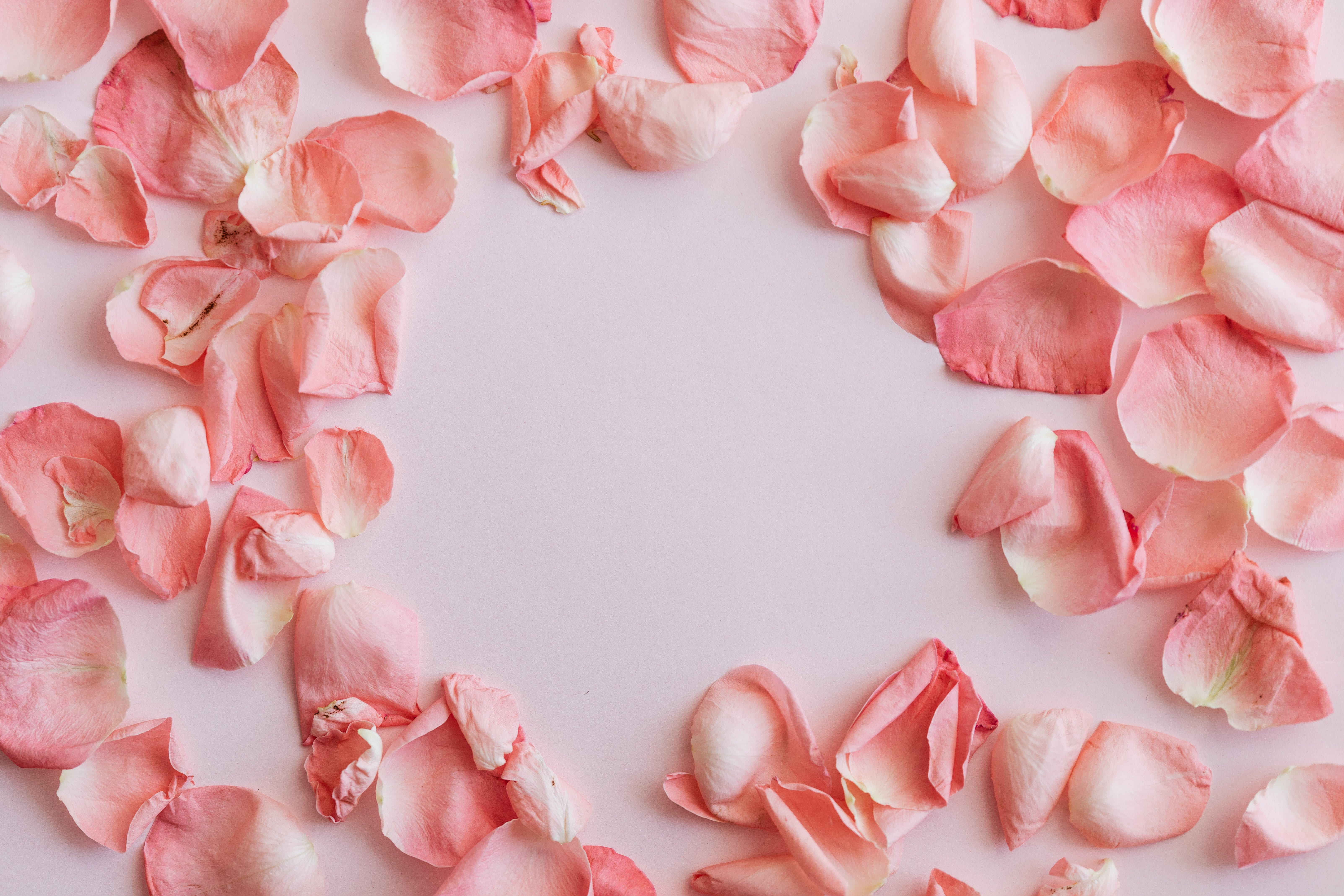 Album Floral Graphic Element (20)