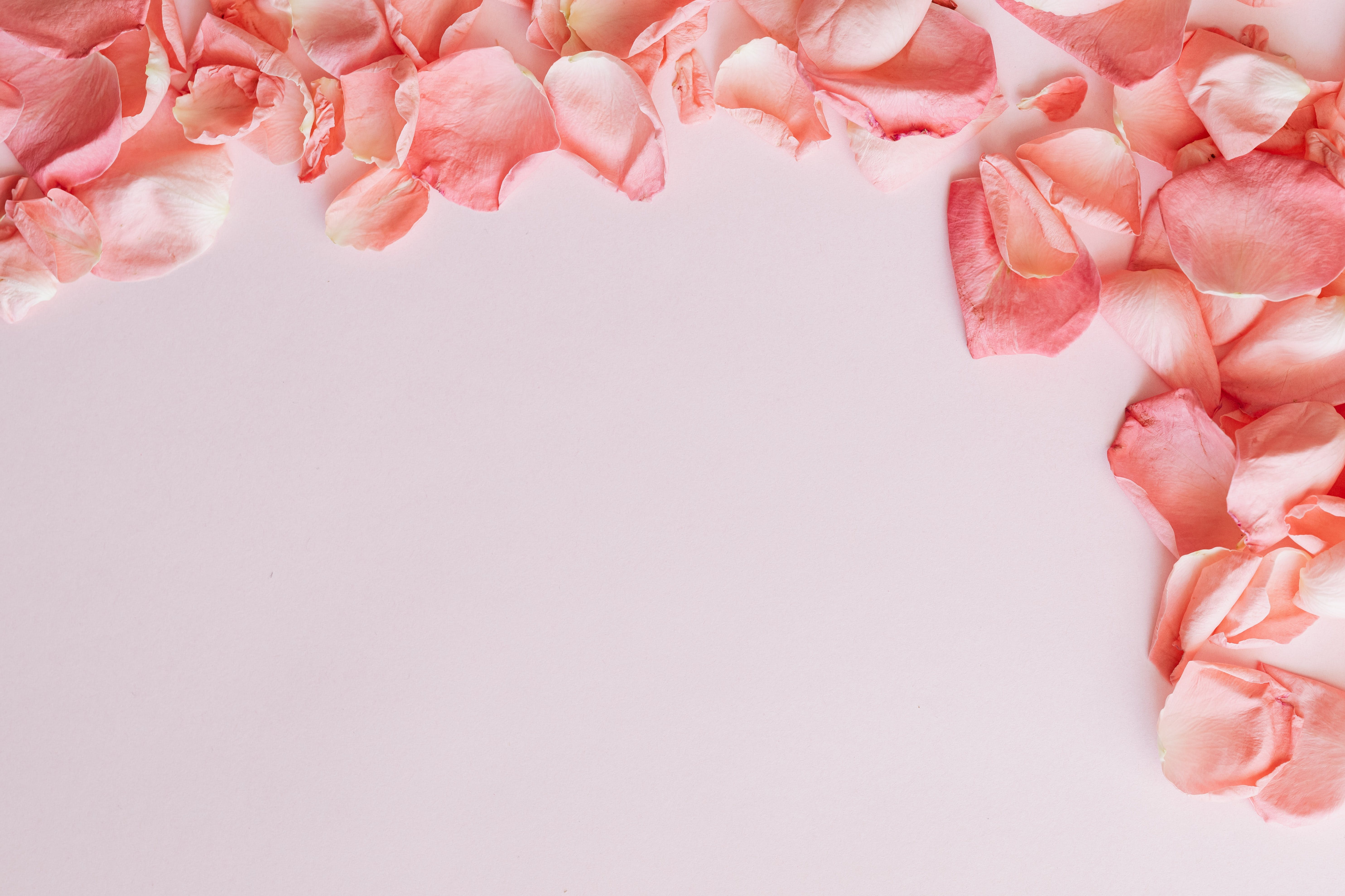 Album Floral Graphic Element (22)