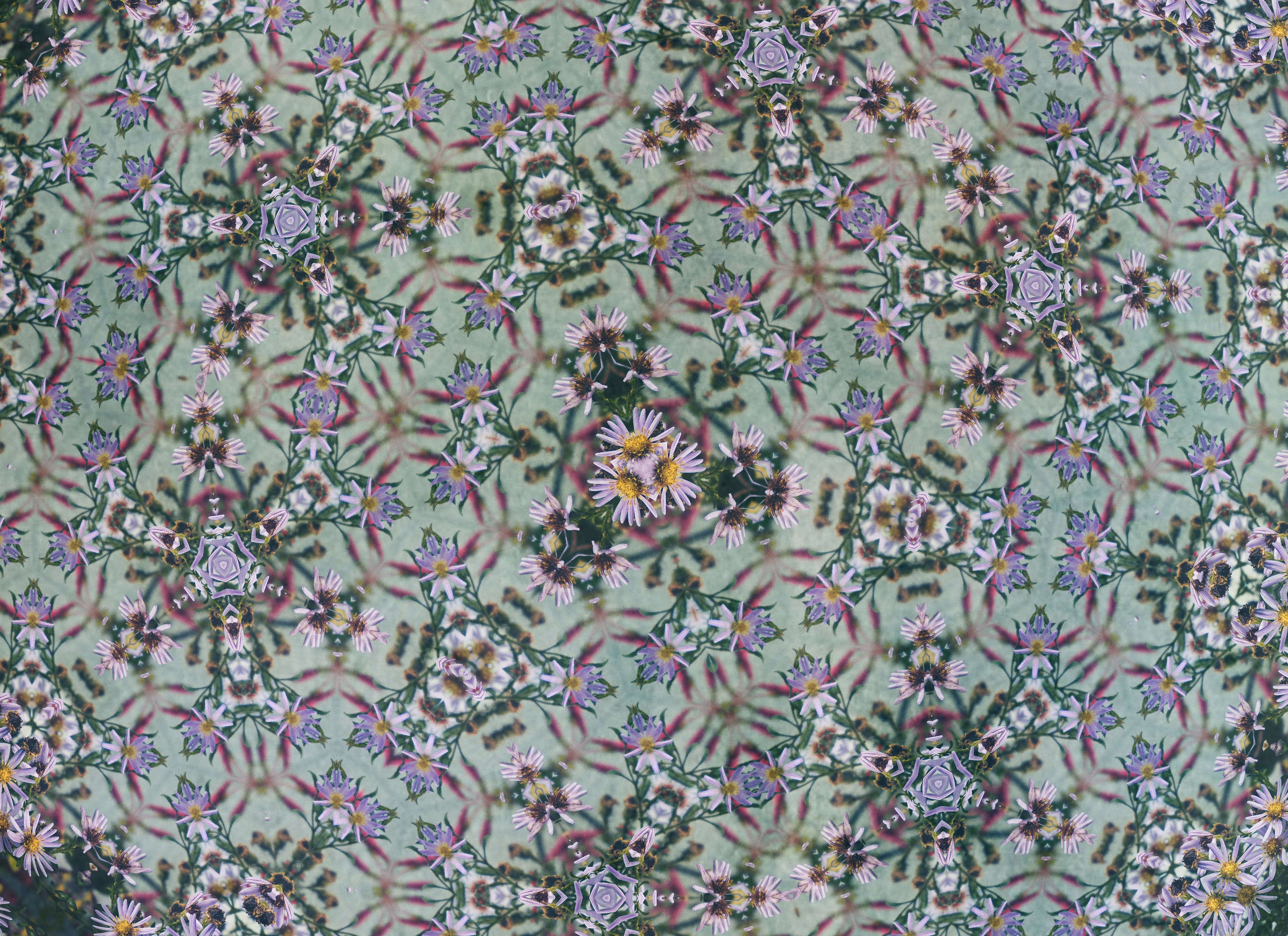 Album Floral Graphic Element (25)