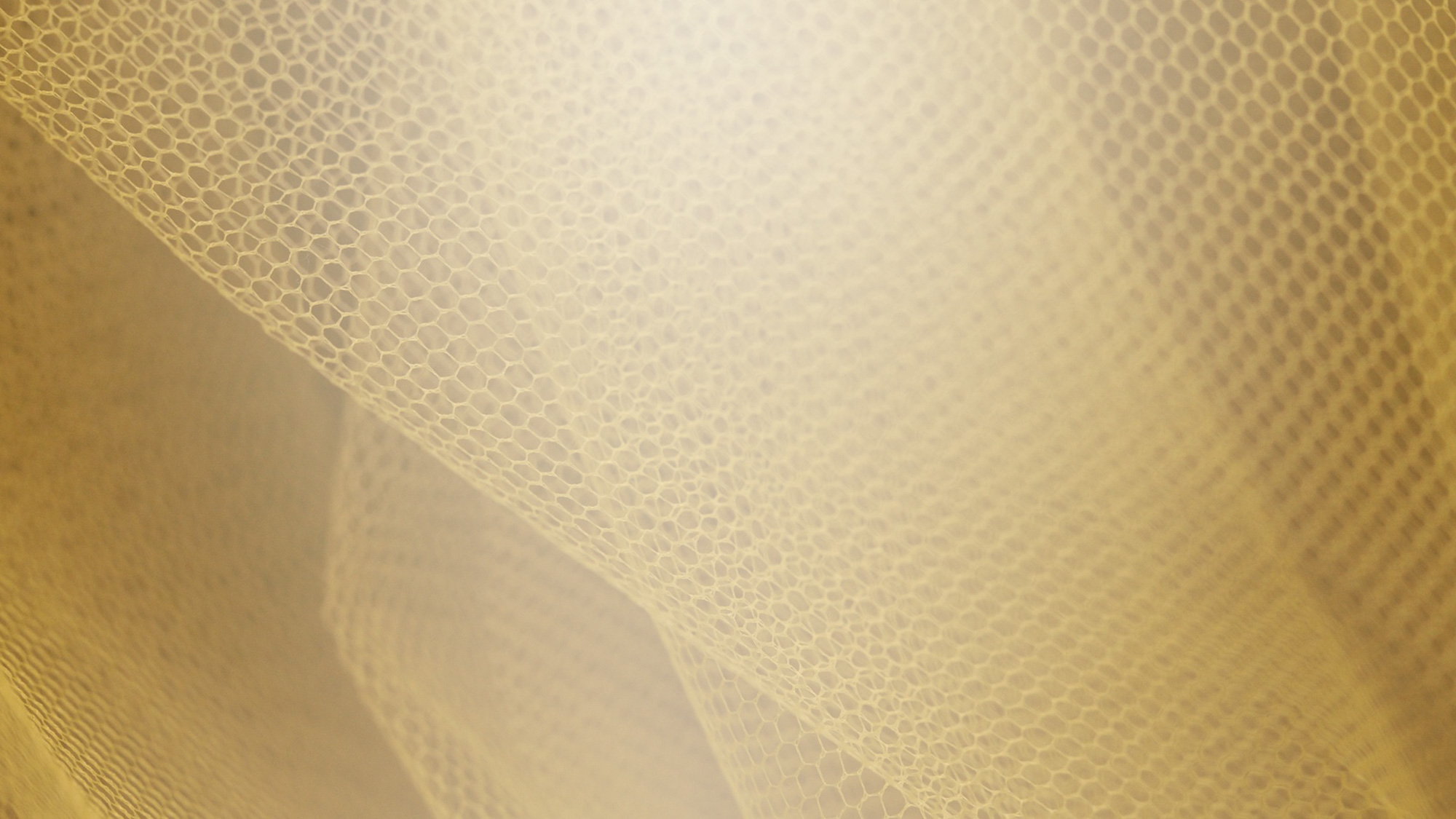 Wedding and Banner Background Collection 12x36 size (419)