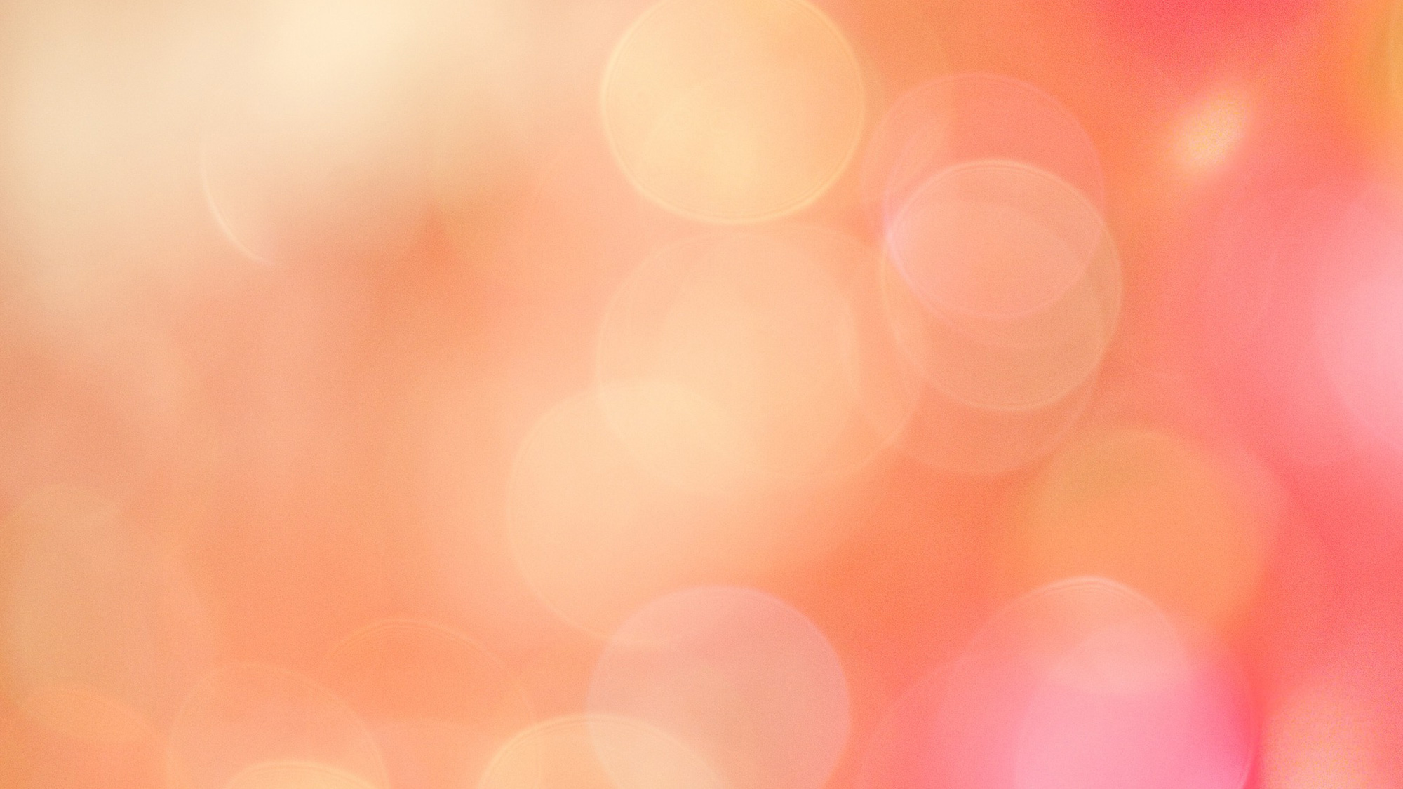 Wedding and Banner Background Collection 12x36 size (462)