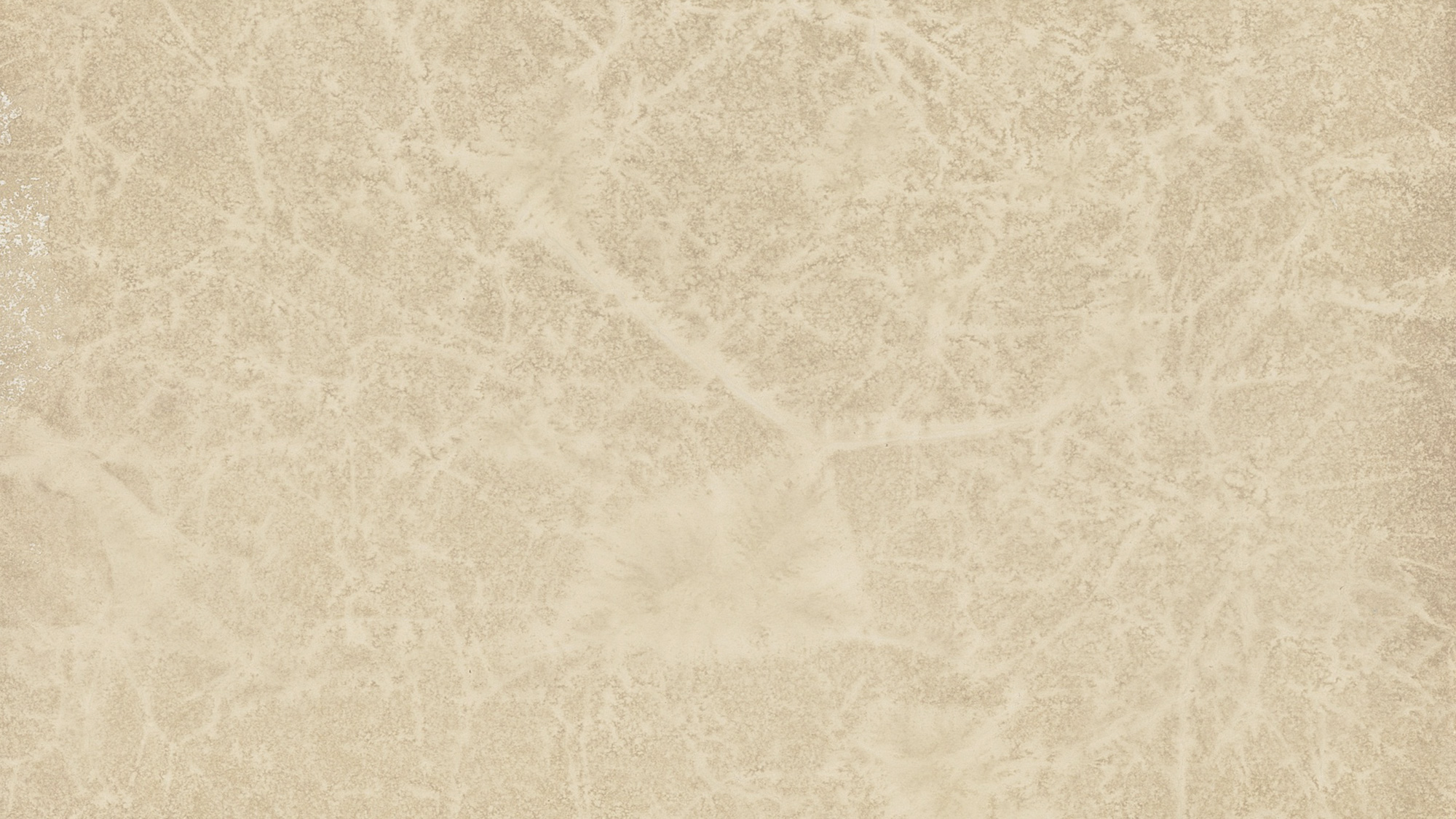 Wedding and Banner Background Collection 12x36 size (482)