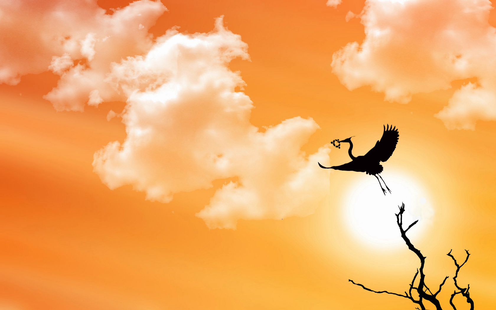 Background or slide Image  (22)