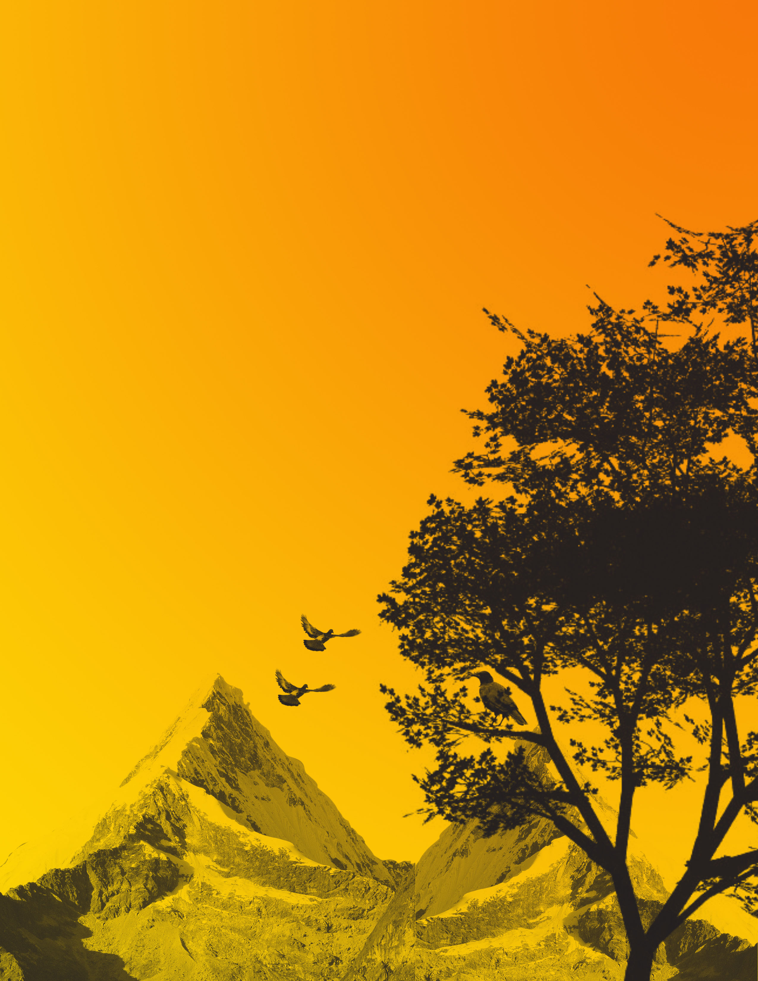 Background or slide Image  (61)