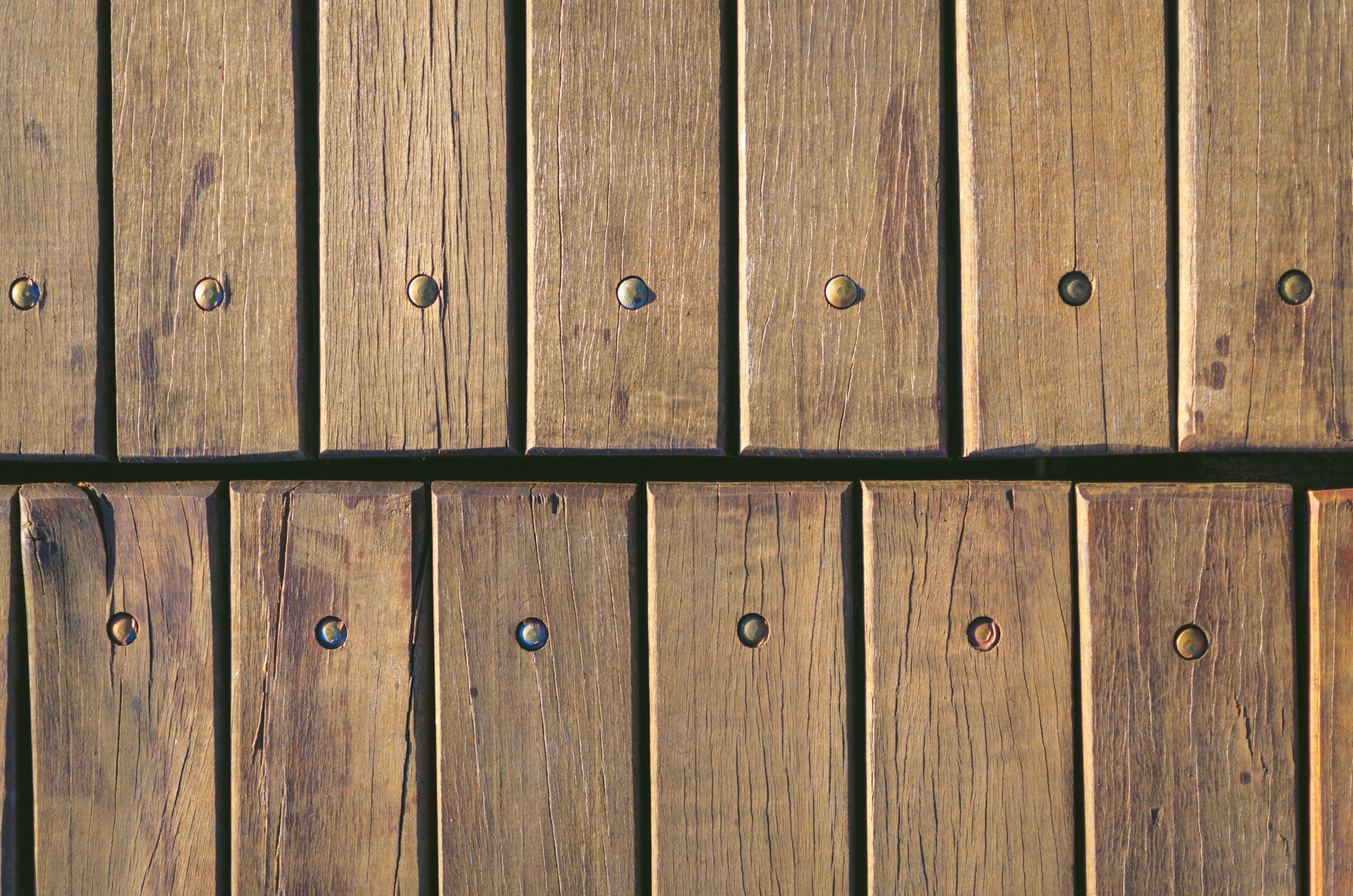 Background or slide Image  (88)