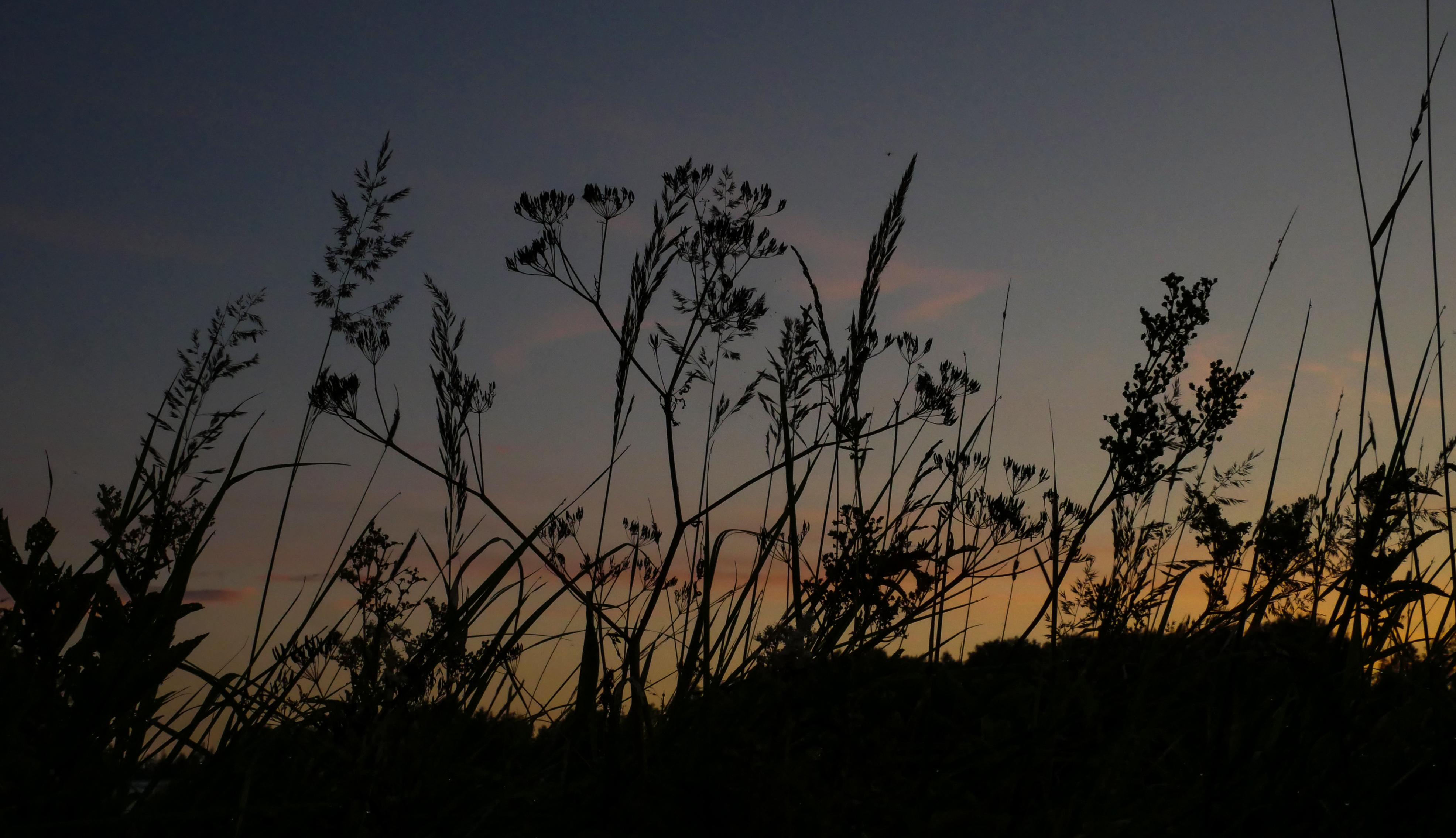 Background or slide Image  (109)