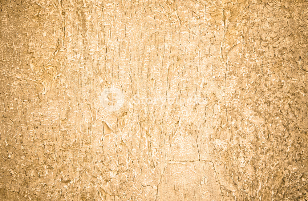 Background or slide Image  (110)