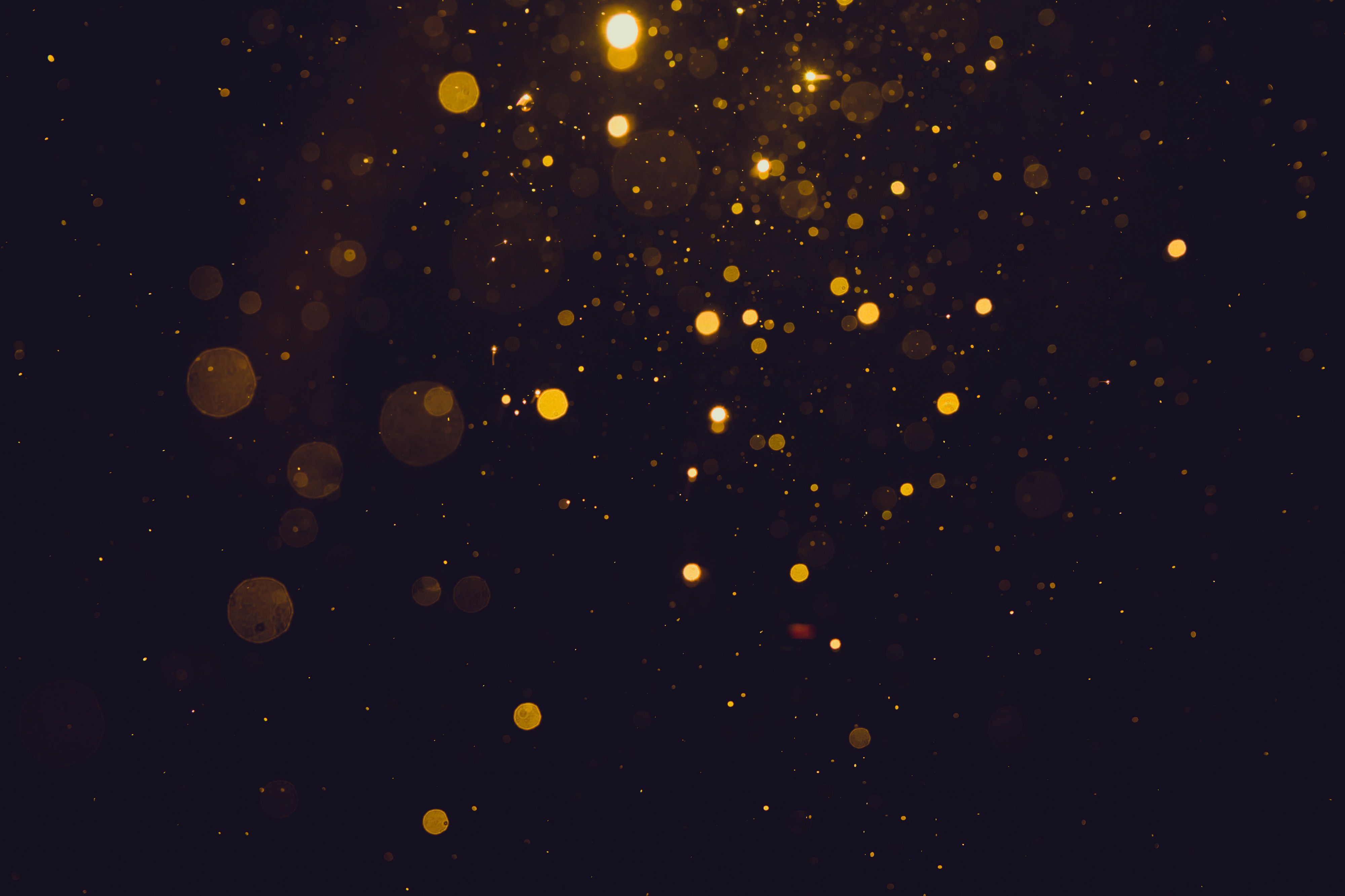 Bokeh Background Image (11)