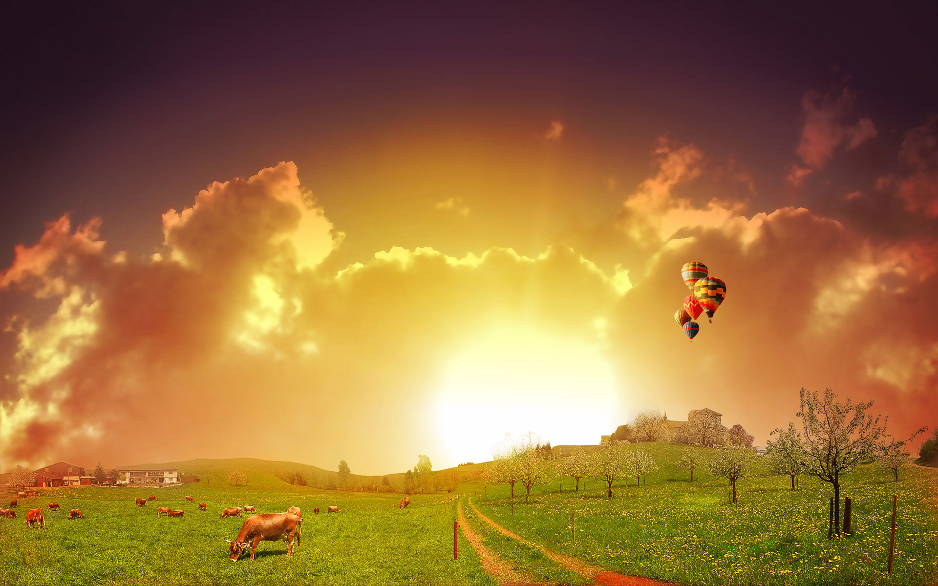 Element of Graphics Background Resource (23)
