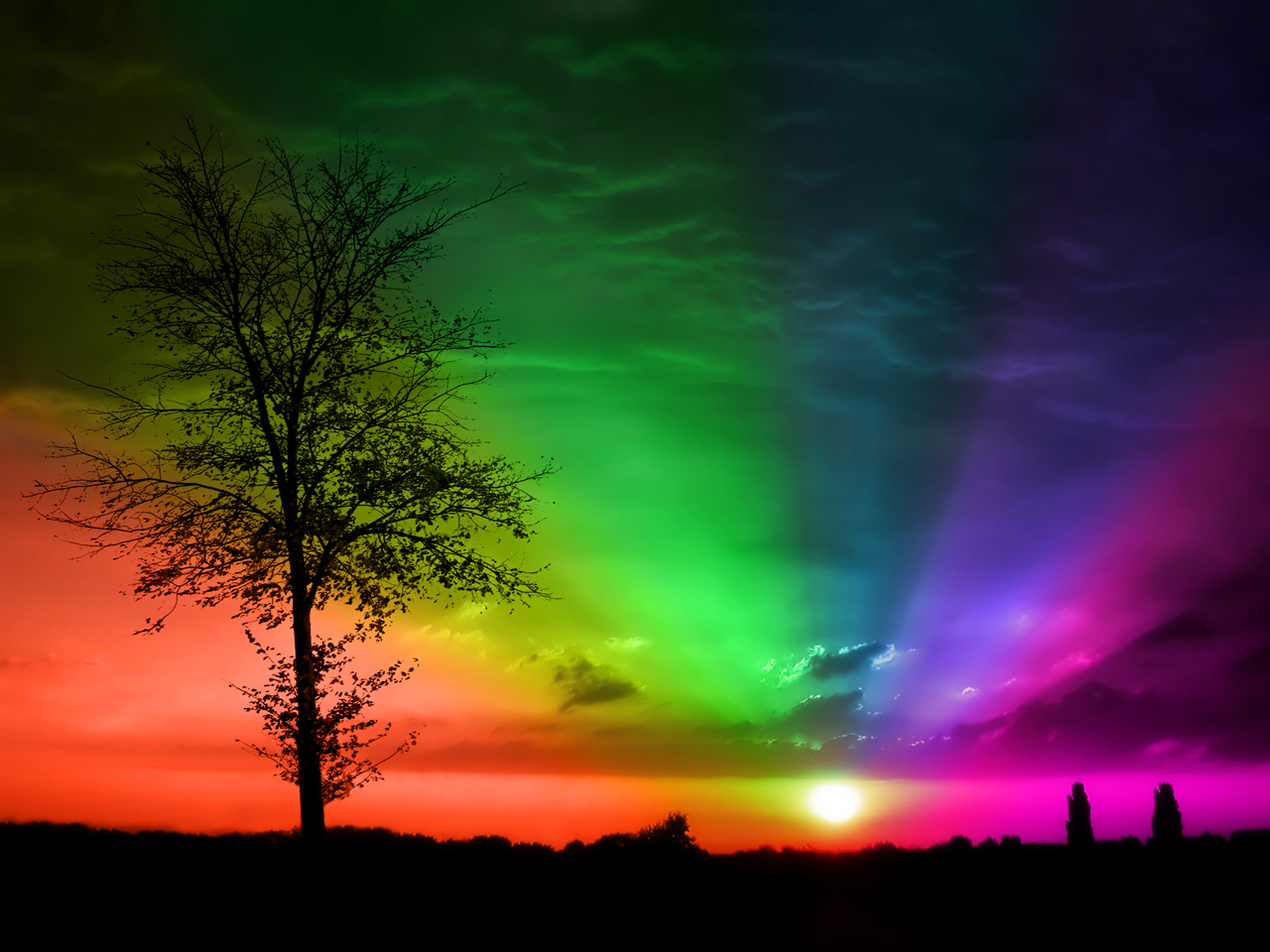 Element of Graphics Background Resource (26)