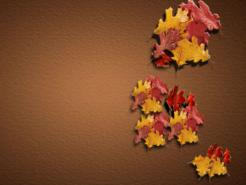 Element of Graphics Background Resource (28)