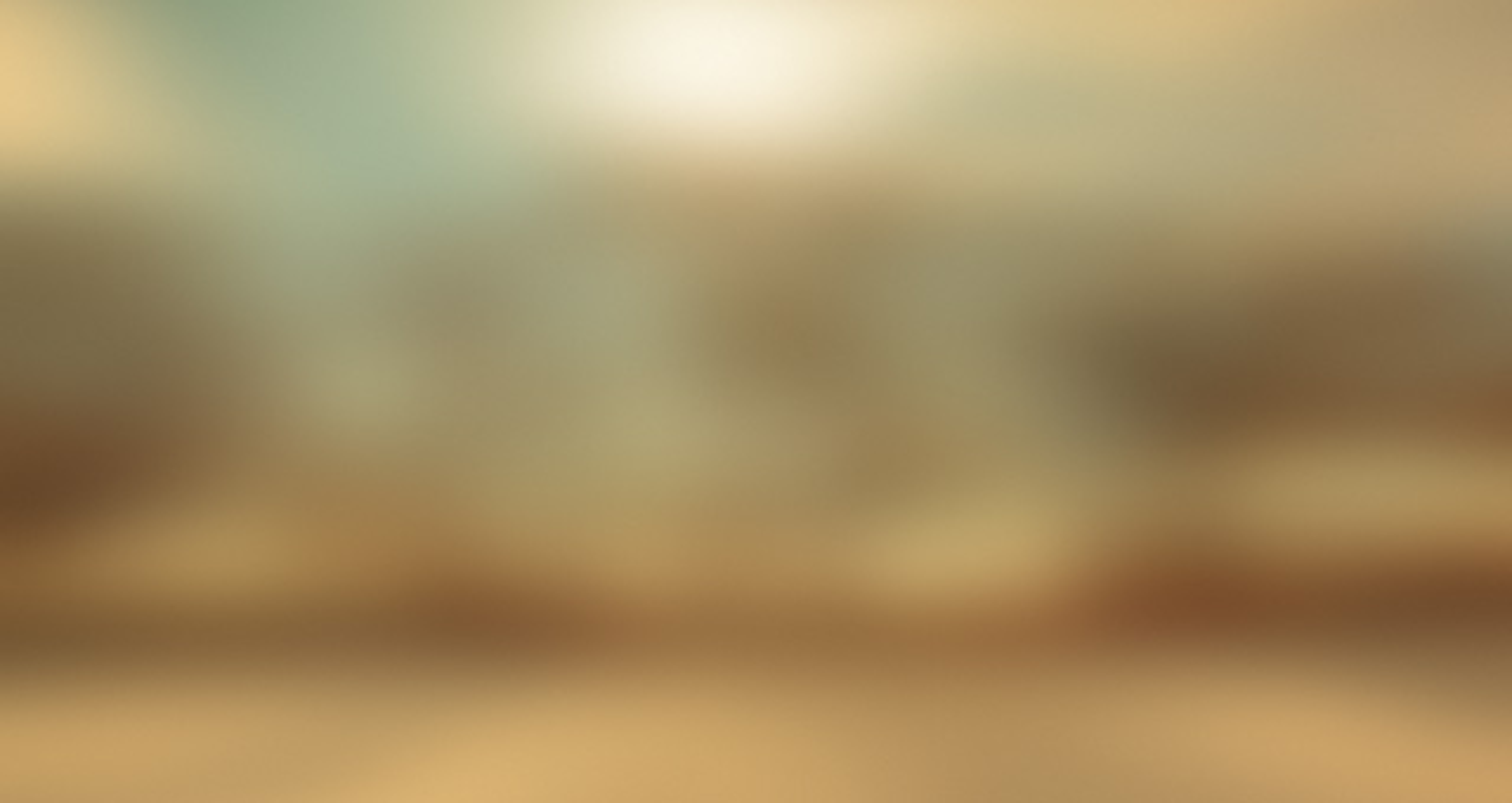 Studio Canvas Background HD Quality (13)