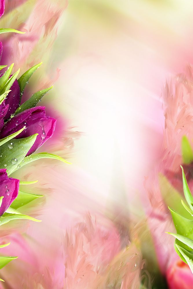 Studio Canvas Background HD Quality (24)