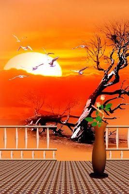 Studio Canvas Background HD Quality (31)