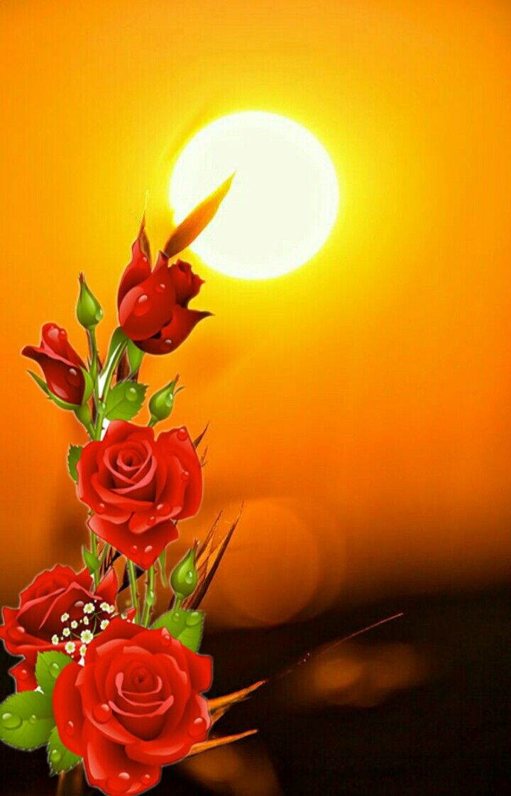 Studio Canvas Background HD Quality (53)