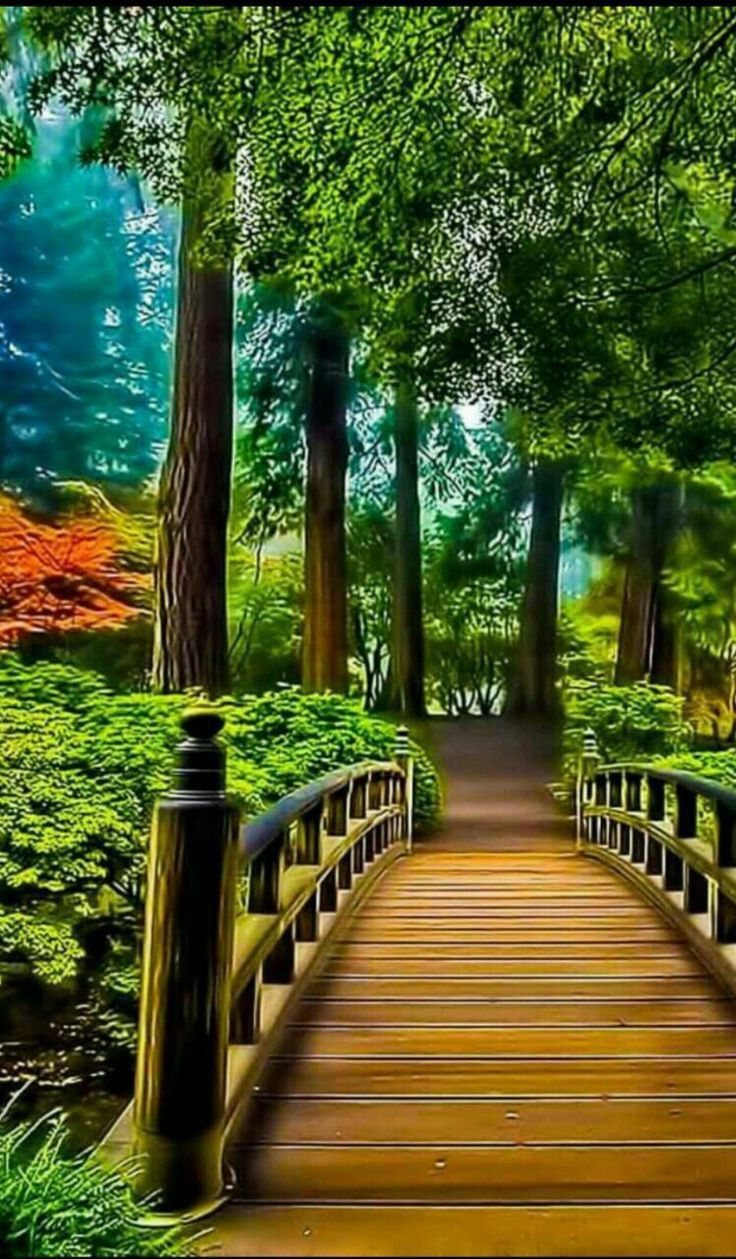 Studio Canvas Background HD Quality (60)