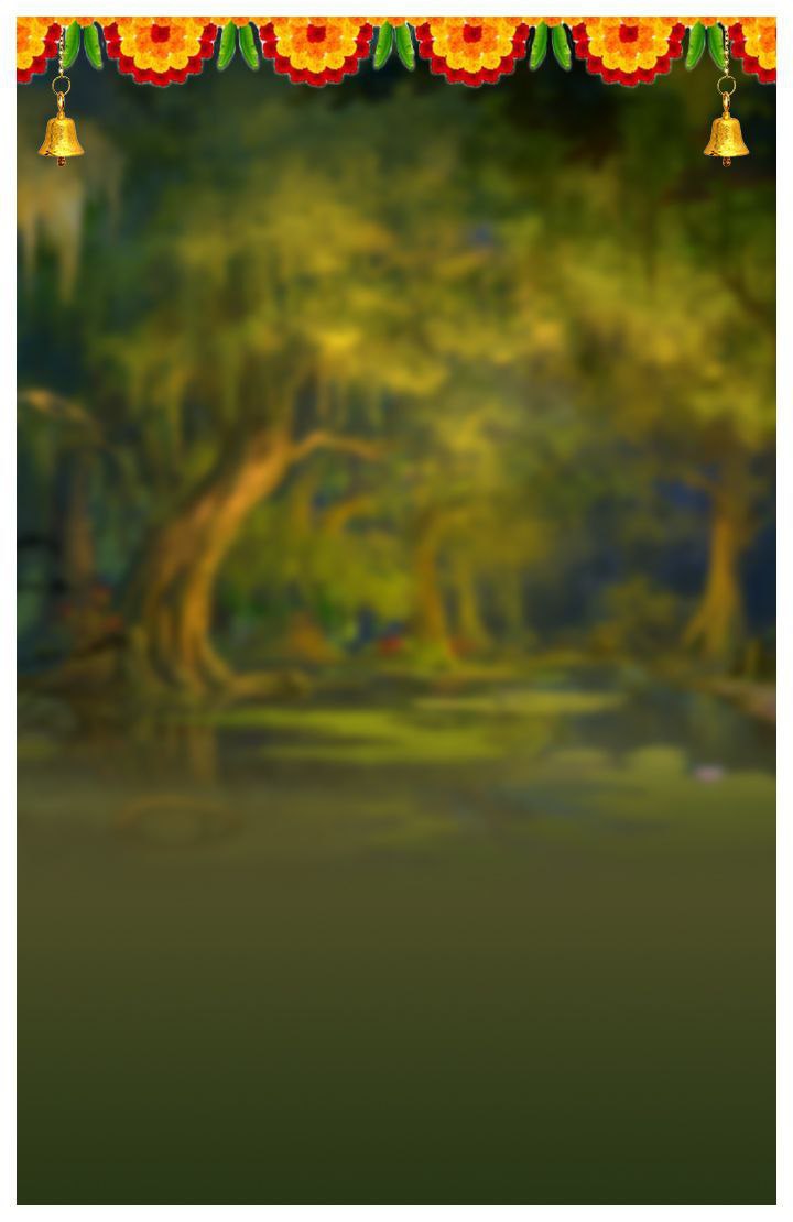 Studio Canvas Background HD Quality (66)