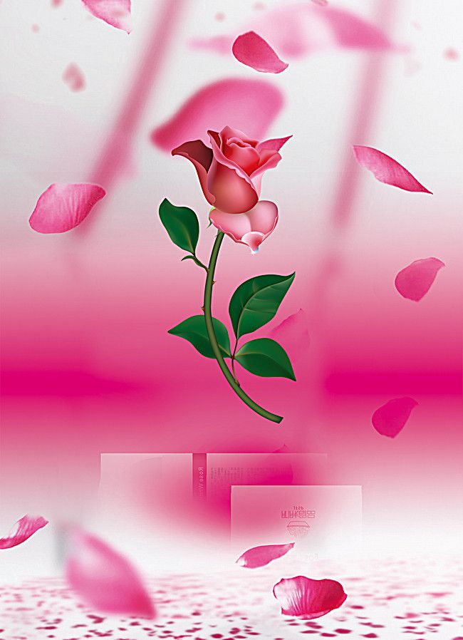 Studio Canvas Background HD Quality (76)