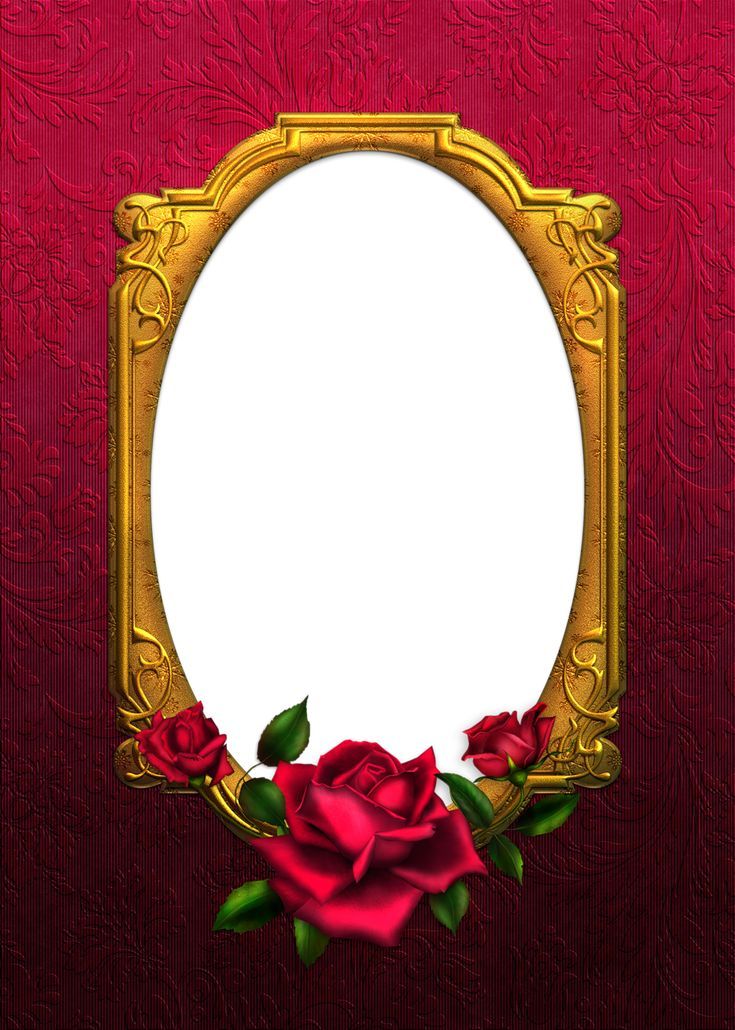 Studio Canvas Background HD Quality (81)