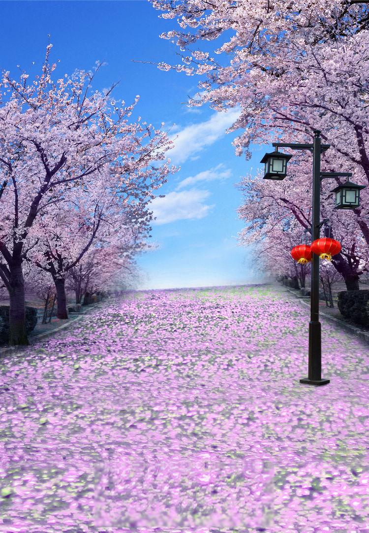 Studio Canvas Background HD Quality (156)