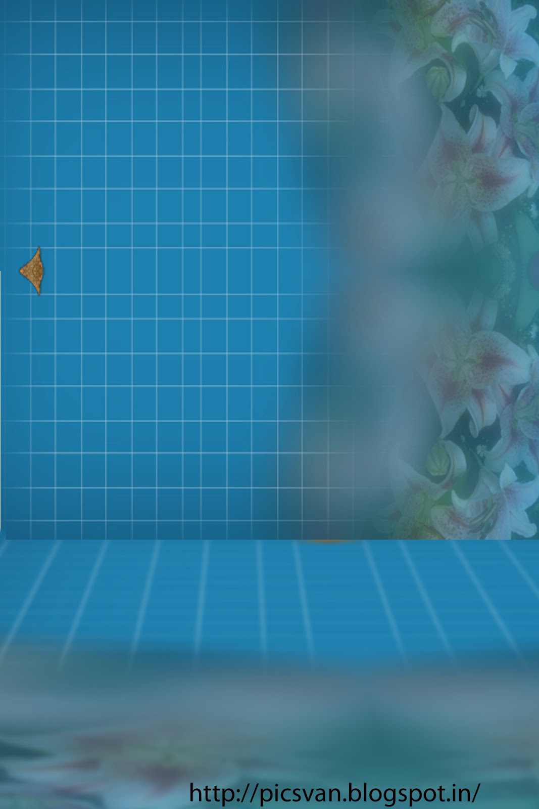 Studio Canvas Background HD Quality (171)