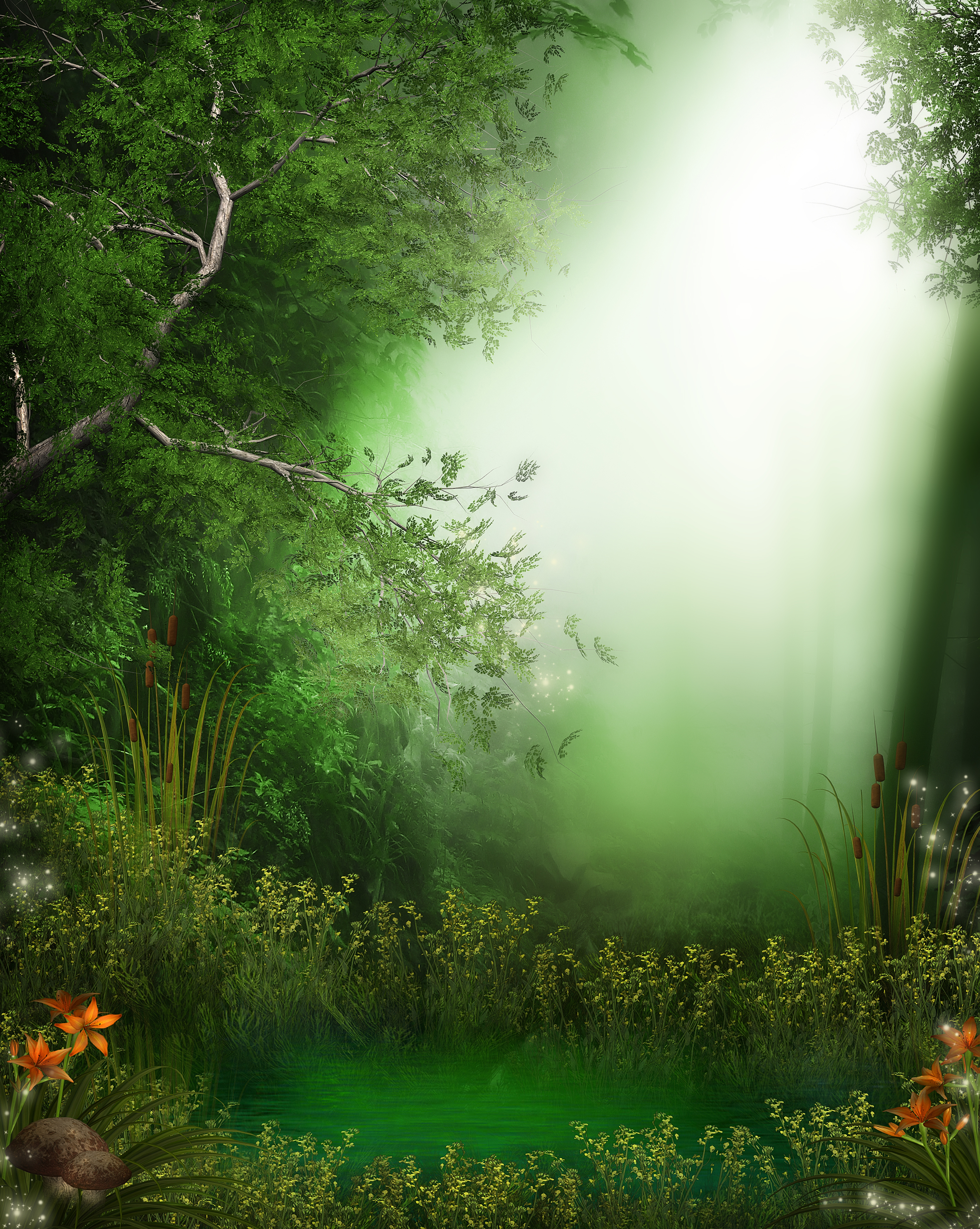 Studio Canvas Background HD Quality (174)