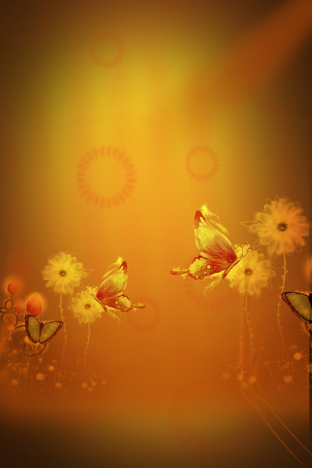 Studio Canvas Background HD Quality (216)