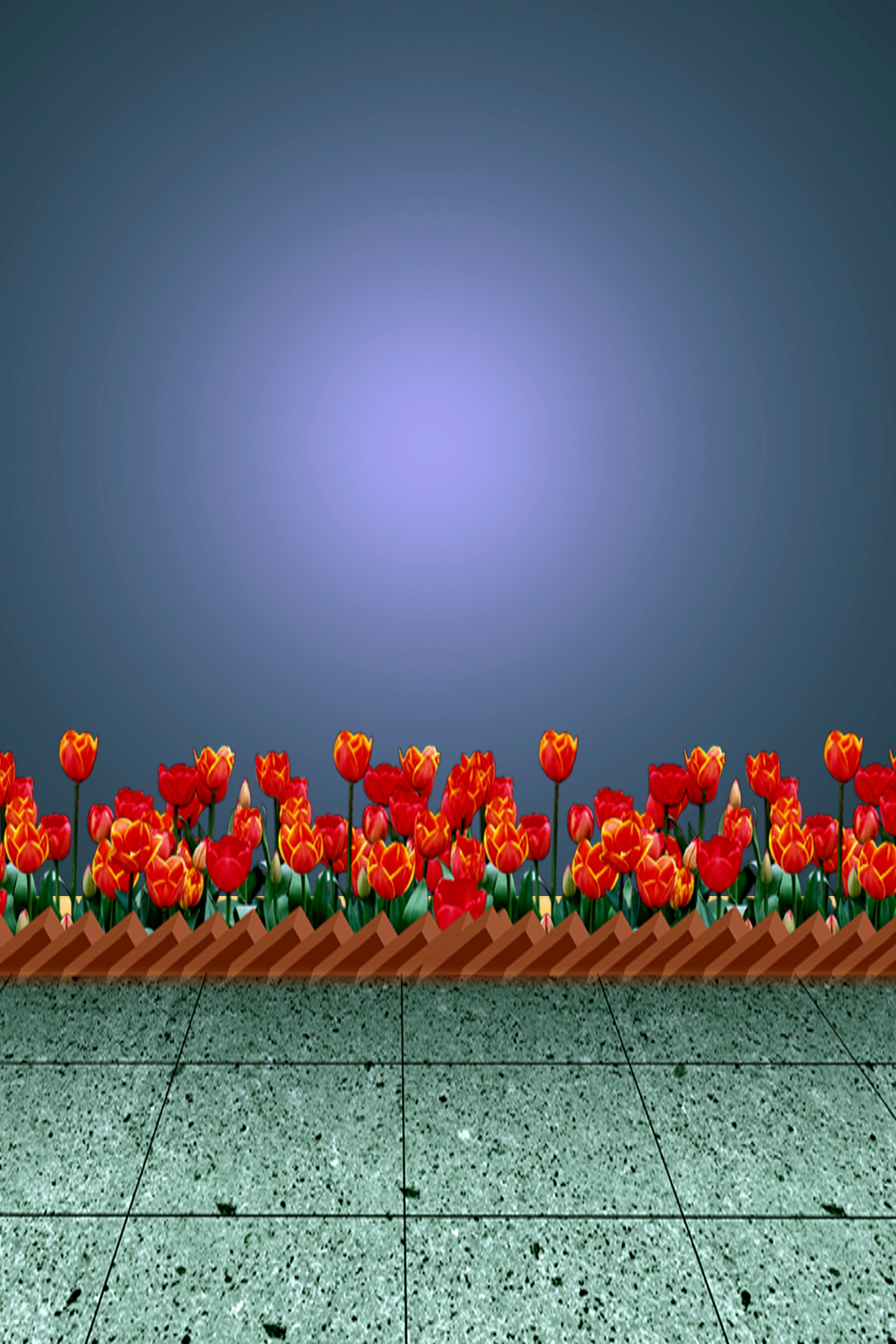 Studio Canvas Background HD Quality (269)