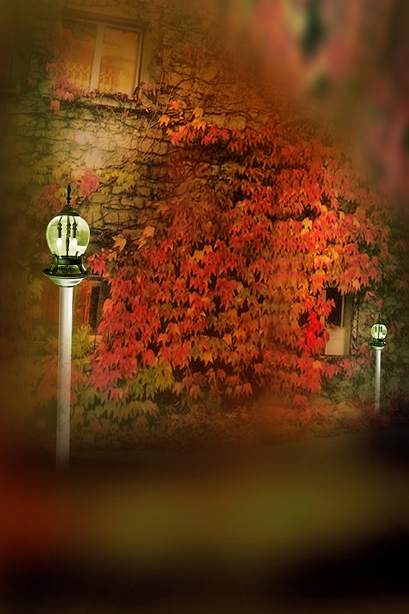 Studio Canvas Background HD Quality (308)