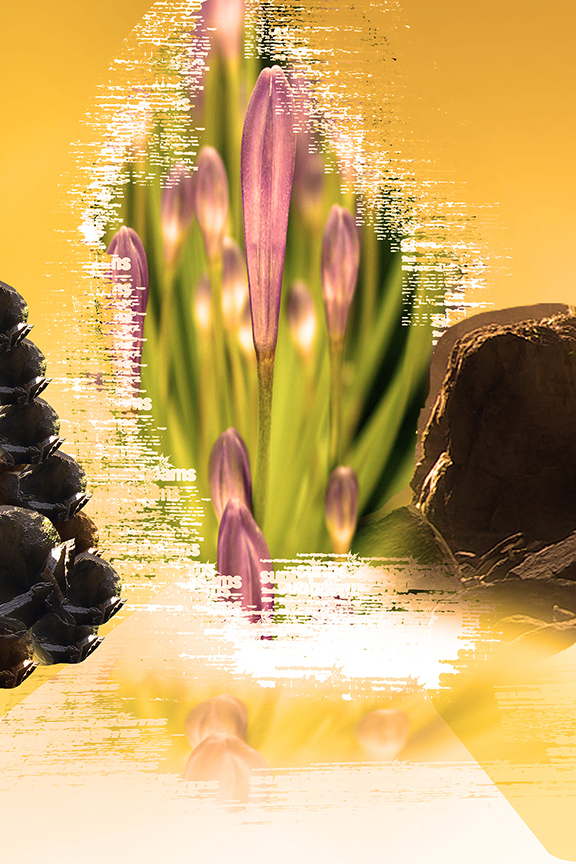 Studio Canvas Background HD Quality (362)